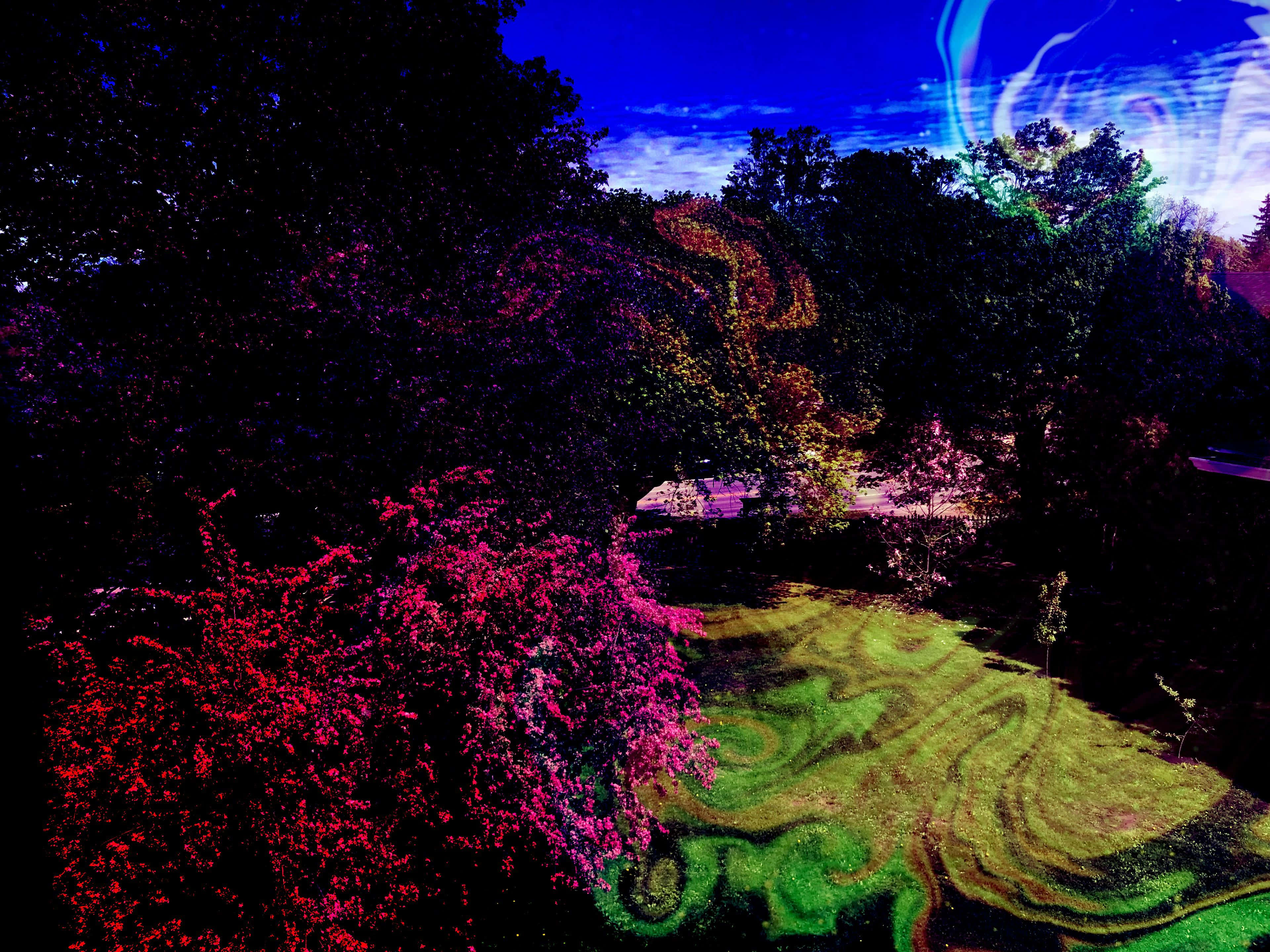 幻覺 桌布 壁紙 — 一個超現實的暮色花園，樹木在深藍色天空下散發洋紅色和綠色光芒，天空中有旋轉的宇宙圖案。
