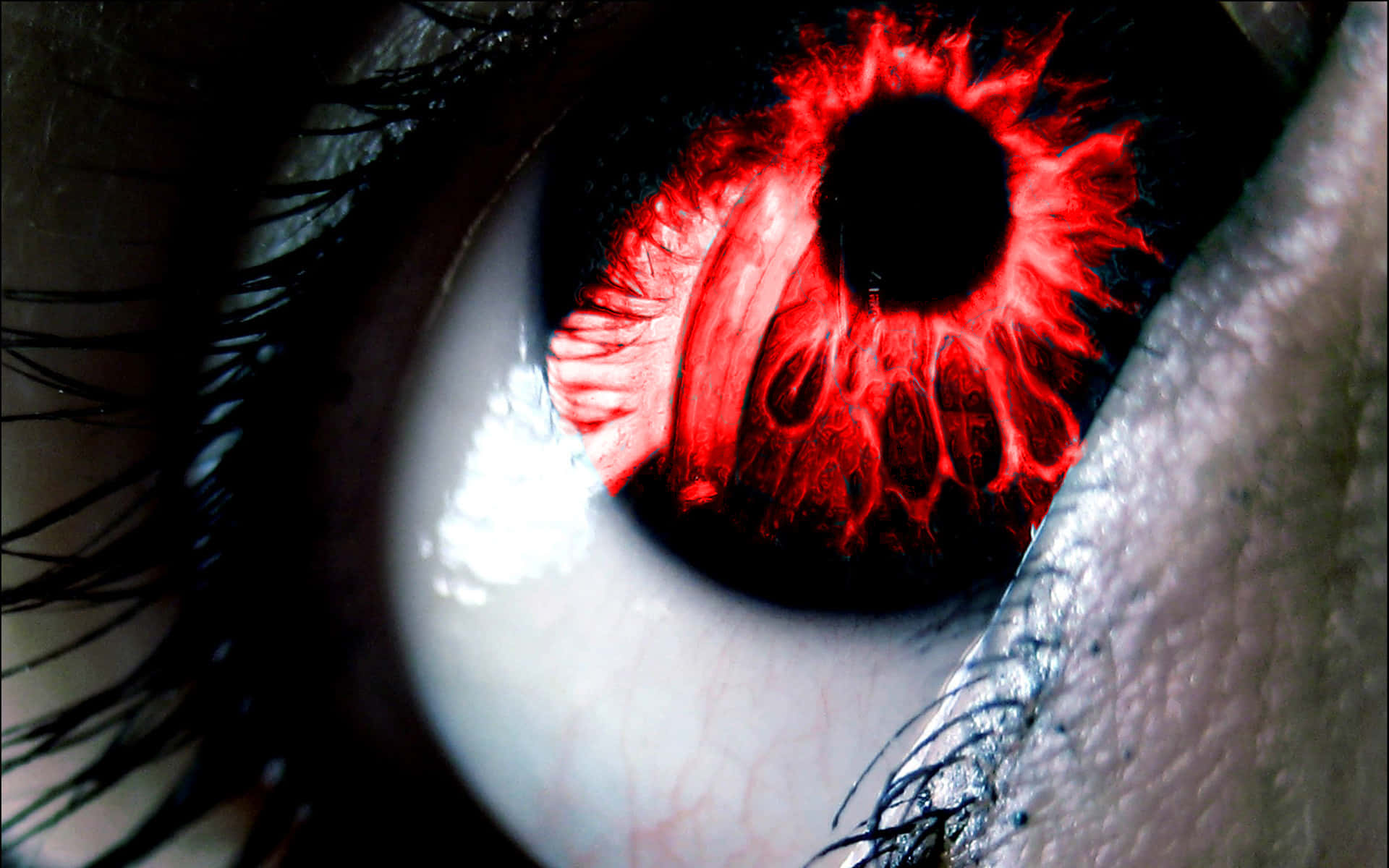Eyes 桌布 壁紙 — 一個超詳細的人類眼睛特寫，帶有發光的紅色虹膜和黑色瞳孔，周圍環繞著深色睫毛。