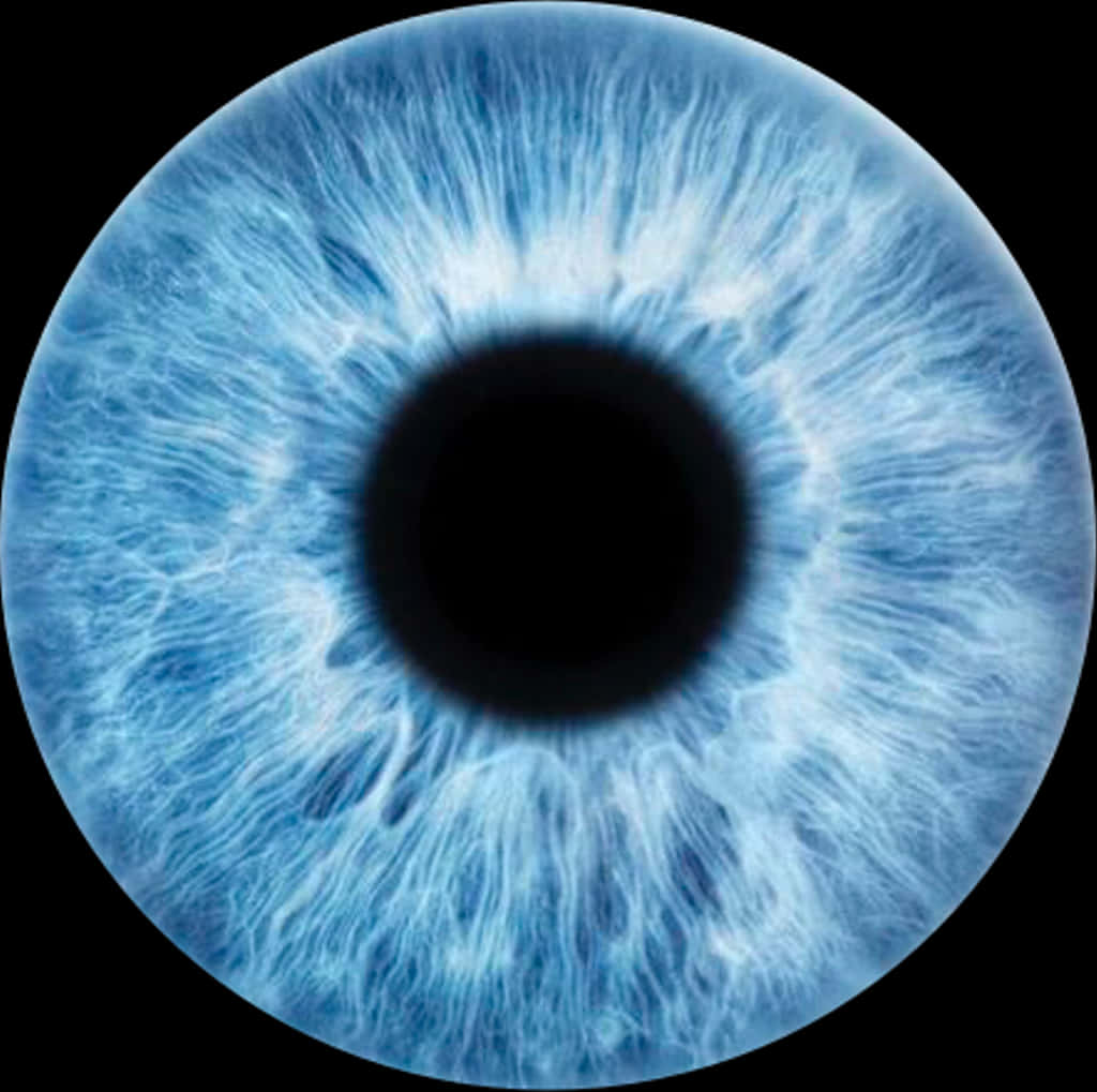 Eyes Lens 桌布 壁紙 — 一個超詳細的特寫，展示一隻生動的藍色人眼，帶有複雜的虹膜圖案，背景為黑色。