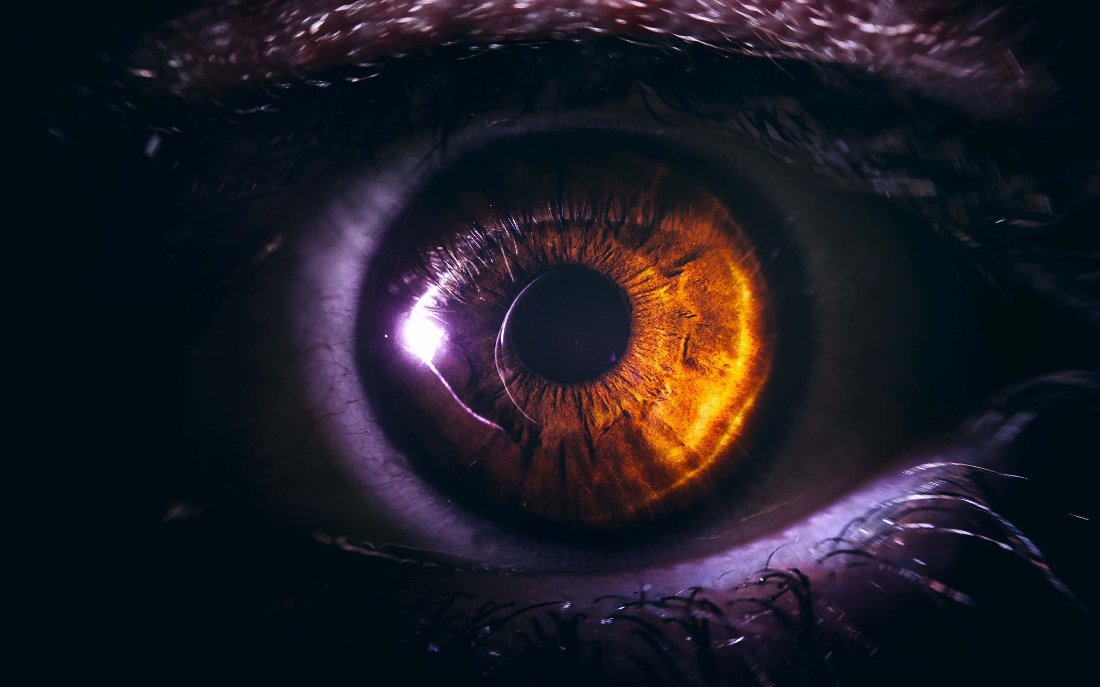 Eyes 桌布 壁紙 — 一個超詳細的特寫鏡頭，展示一隻在黑暗背景下散發著熾熱琥珀色光芒的人類眼睛。