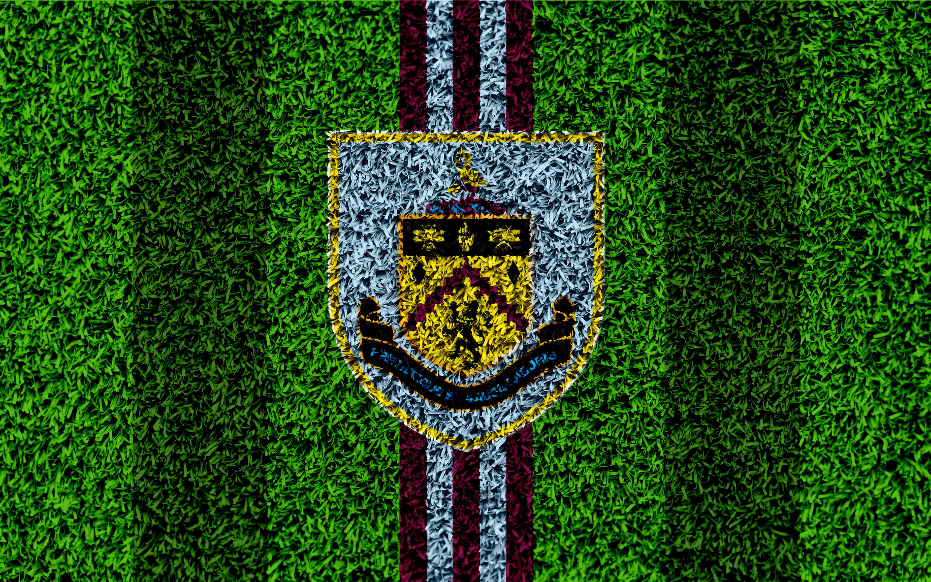 Burnley Fc 桌布 壁紙 — 一個足球俱樂部徽章以栗色和白色條紋刺繡在充滿活力的綠色草地上。