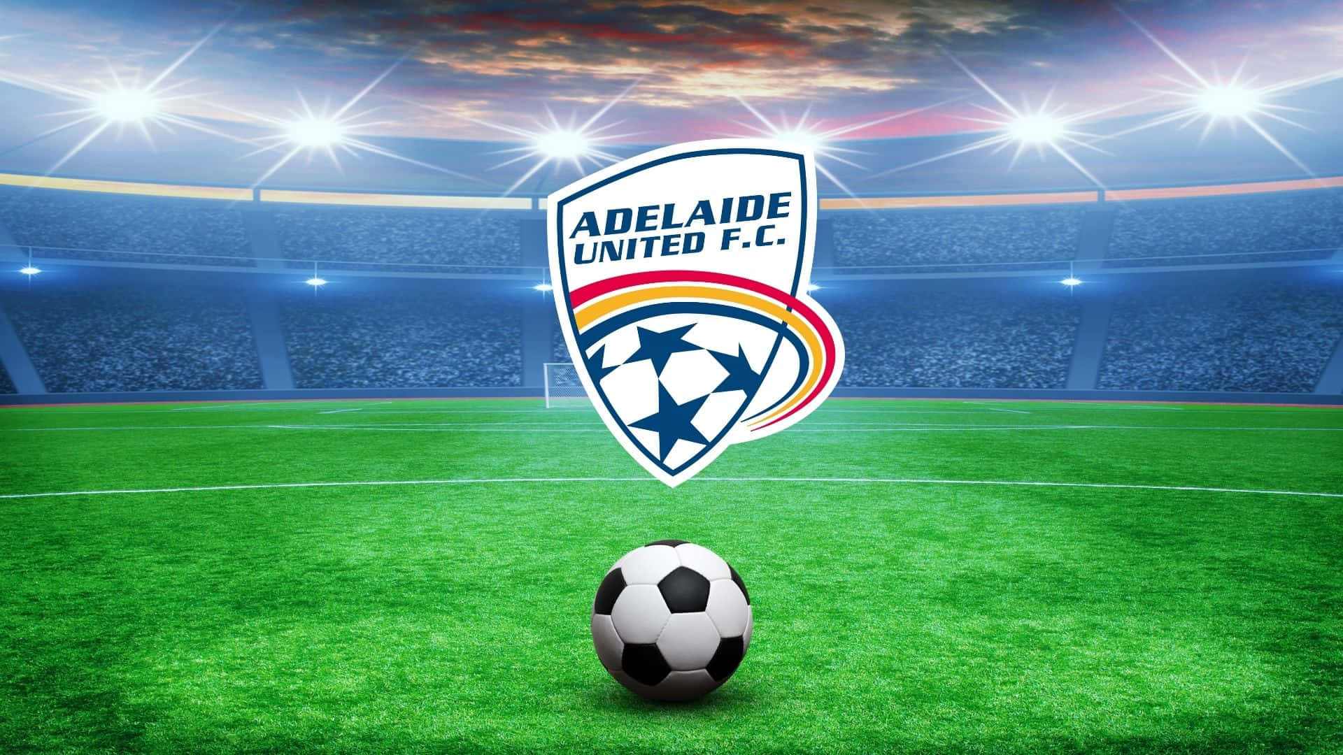 Adelaide United 桌布 壁紙 — 一個足球放在充滿活力的綠色球場上，球場燈光下，阿德萊德聯足球俱樂部標誌懸浮在上方。