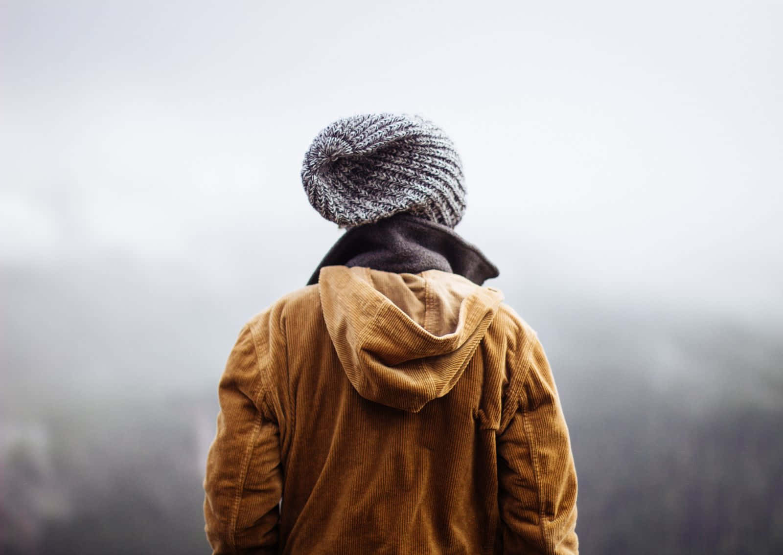 Winter Fashion 桌布 壁紙 — 一個身穿棕色燈芯絨外套和灰色針織毛帽的人背對鏡頭，凝視著迷霧朦朧的景色。