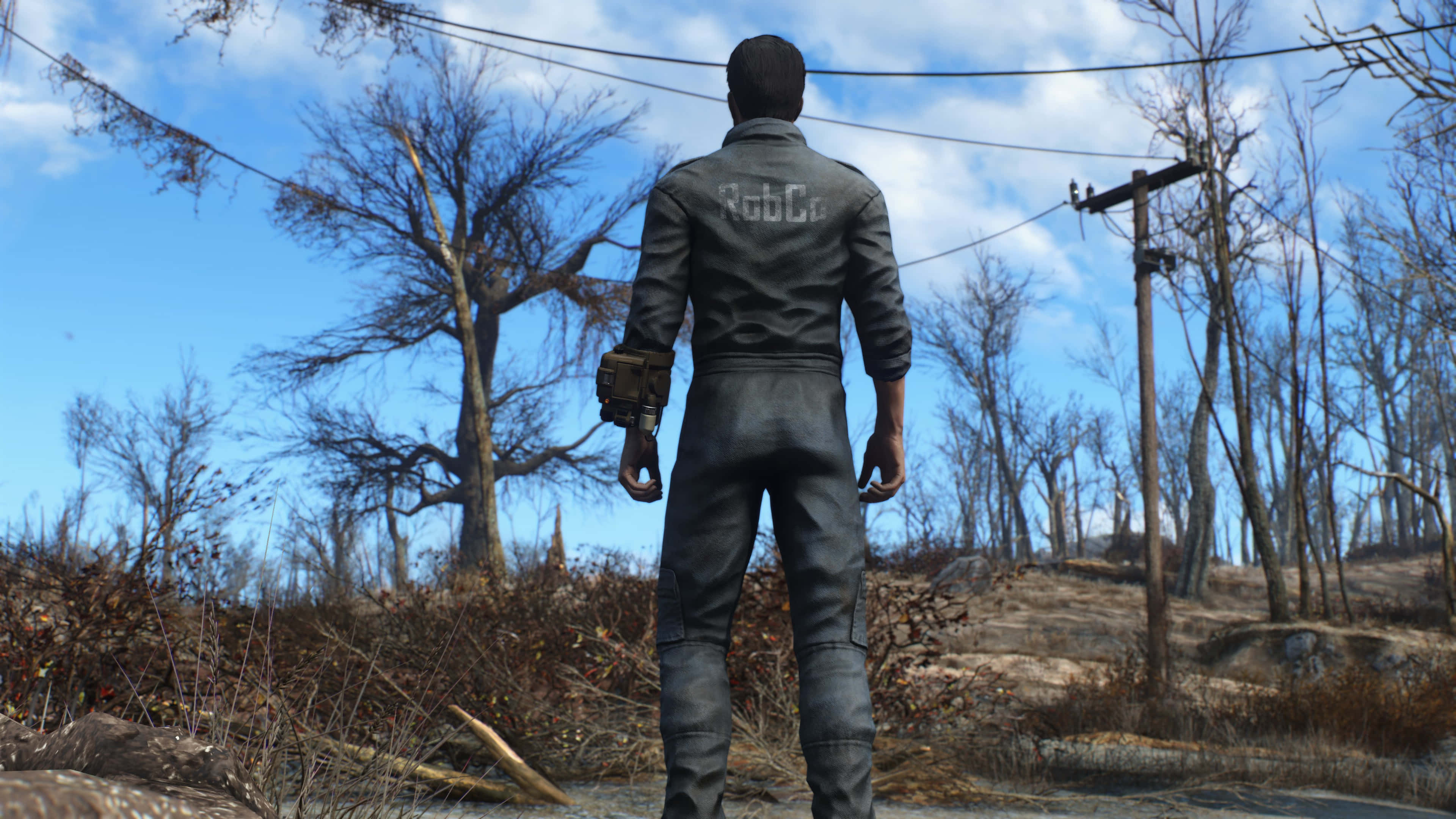 Fallout 4 The Capital Wasteland 桌布 壁紙 — 一個身穿灰色連身衣的孤獨身影，背對觀眾，站在一片枯樹和斷裂電線的荒蕪廢土上，頭頂是明亮的藍天。