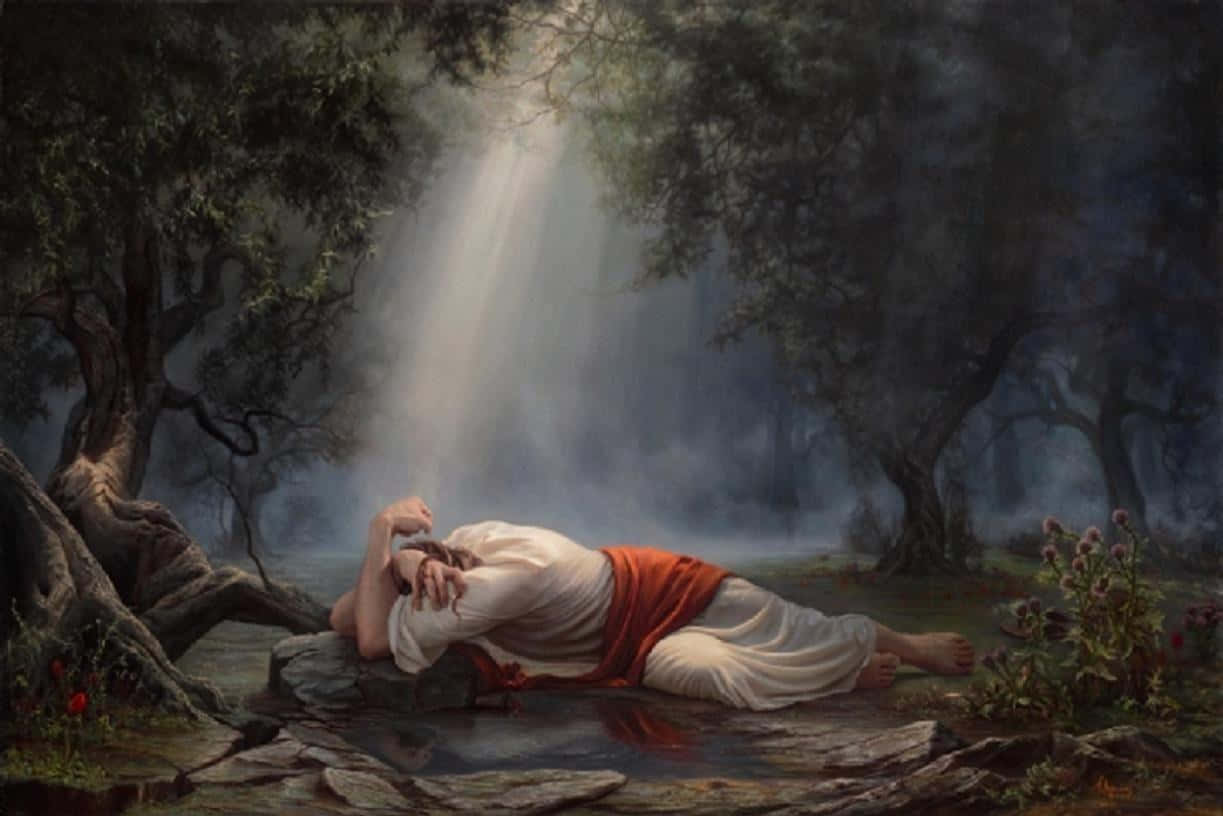 Praying 桌布 壁紙 — 一個身穿白色和紅色長袍的人物在霧氣瀰漫的森林溪流旁的石頭上休息，神聖的光芒穿過樹木照射下來。