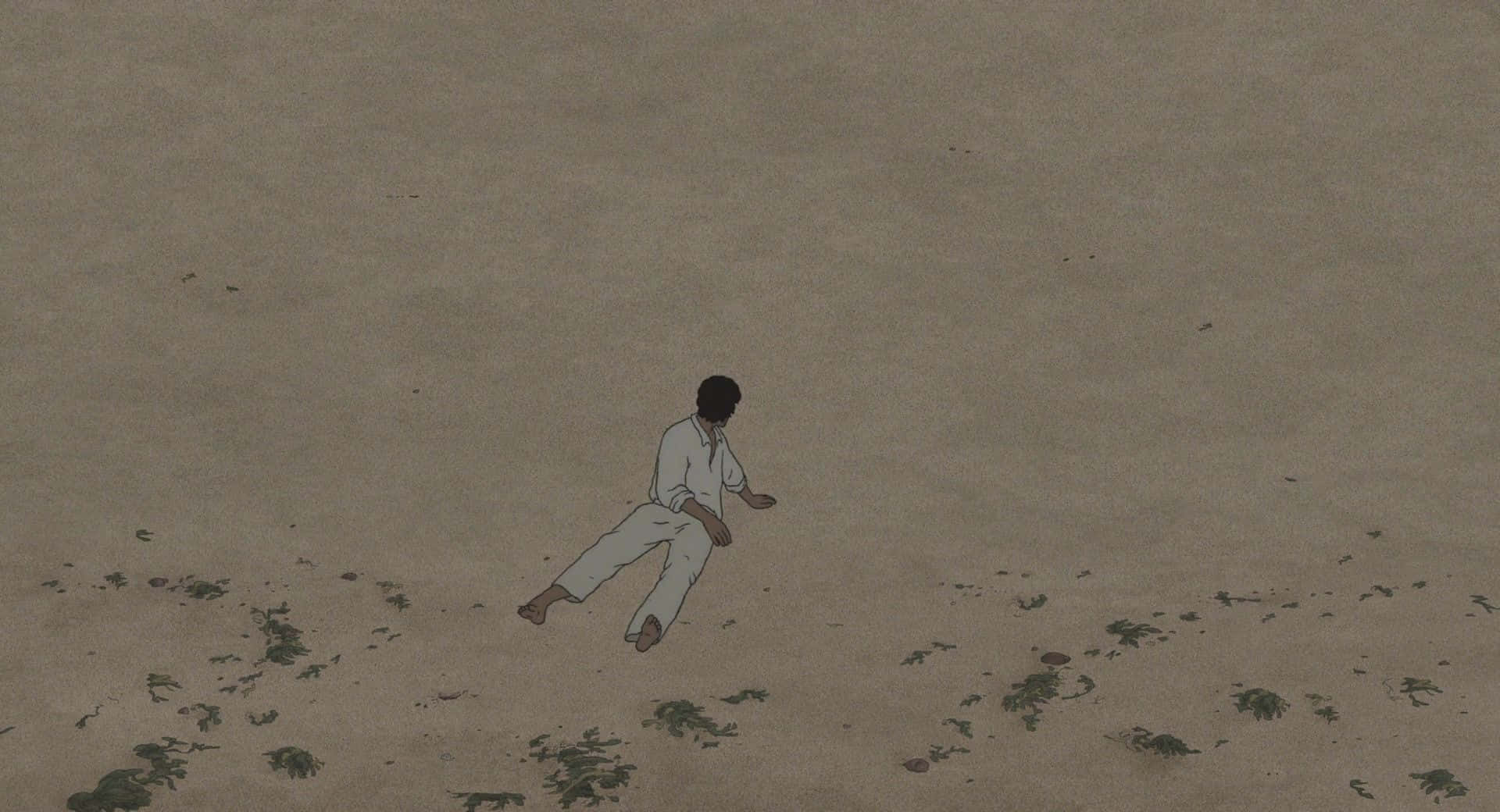 The Red Turtle 桌布 壁紙 — 一個身穿白衣的孤獨身影，在微光下坐在廣闊米色平原上稀疏的綠植之間。