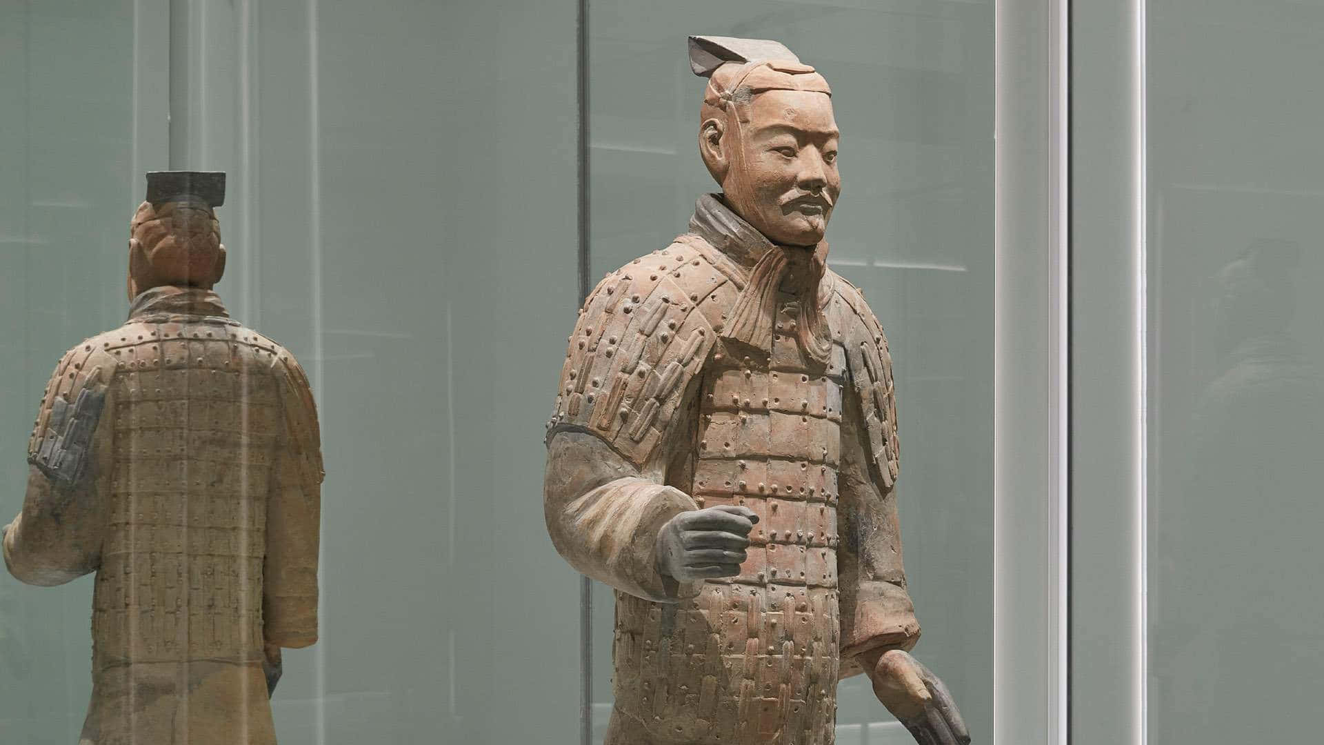 Museum 桌布 壁紙 — 一個身穿精細盔甲的兵馬俑雕像站立在玻璃展示櫃中，其倒影在後方清晰可見。