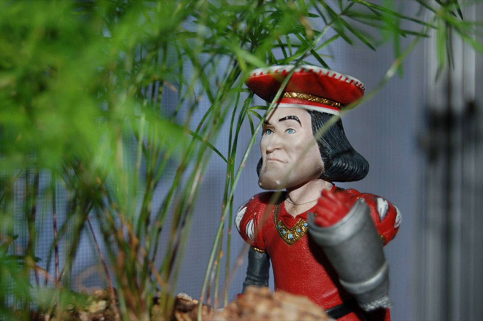 Lord Farquaad 桌布 壁紙 — 一個身穿紅色盔甲和帽子的男人公仔，在柔焦中從綠色蕨類葉片間探出頭來。