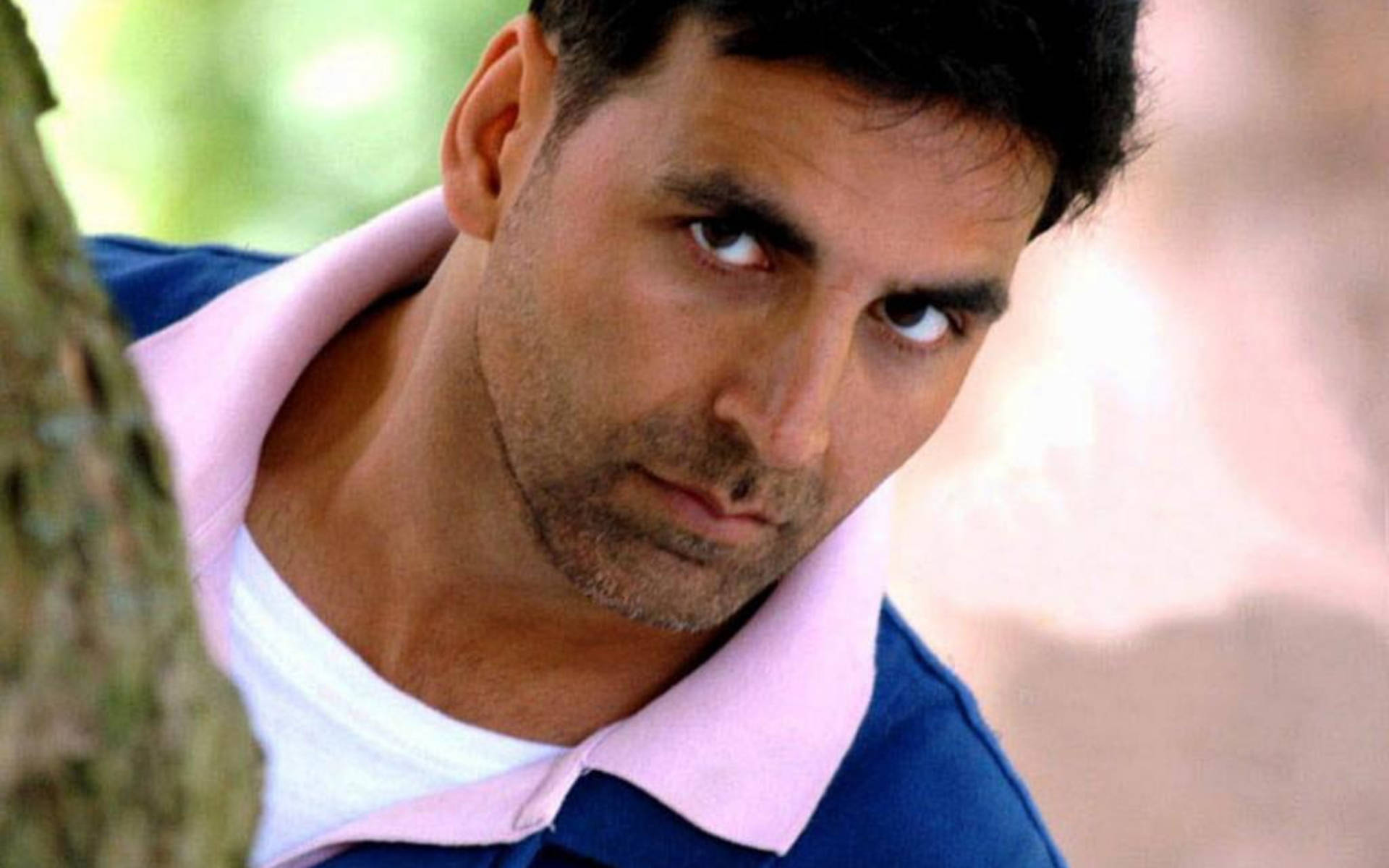 Akshay Kumar 桌布 壁紙 — 一個身穿藍色和粉紅色Polo衫的男人在陽光明媚的戶外環境中，從樹幹後面專注地窺視。