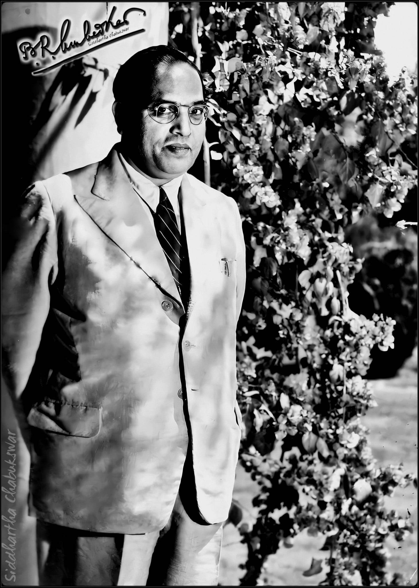 Ambedkar 桌布 壁紙 — 一個身穿西裝、戴眼鏡的男人站在枝葉茂密的灌木旁，陽光斑駁的黑白肖像。