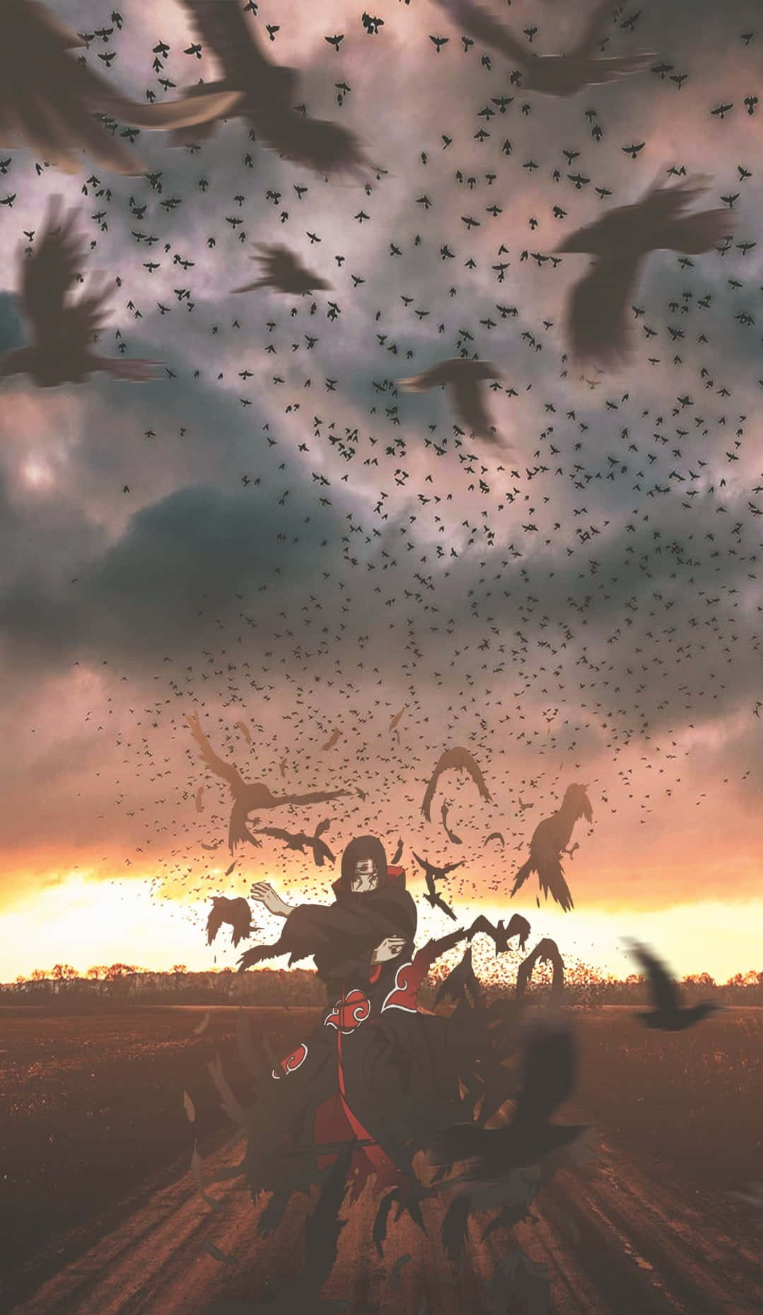 Akatsuki Poster 桌布 壁紙 — 一個身穿黑色斗篷的身影站在田野中，一群鳥在他們周圍盤旋，背景是戲劇性的日落天空。