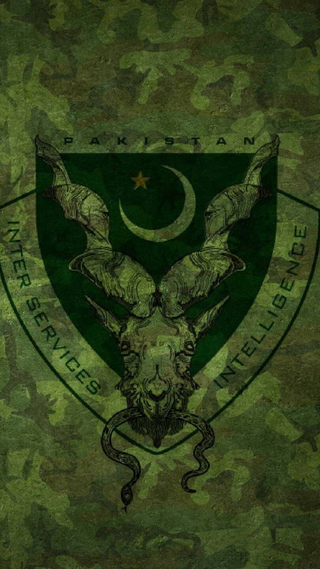 Pakistan 桌布 壁紙 — 一個軍事徽章，包含帶角的山羊頭骨和一條蛇，背景為綠色迷彩，並有Pakistan Inter Services Intelligence文字。