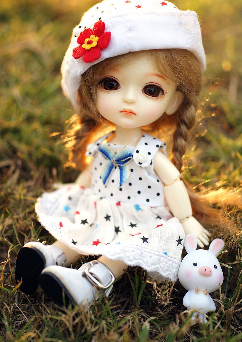 Doll 桌布 壁紙 — 一個辮子頭髮、戴白色帽子的洋娃娃坐在草地上，旁邊有一隻沐浴在金色陽光下的小白兔毛絨玩具。