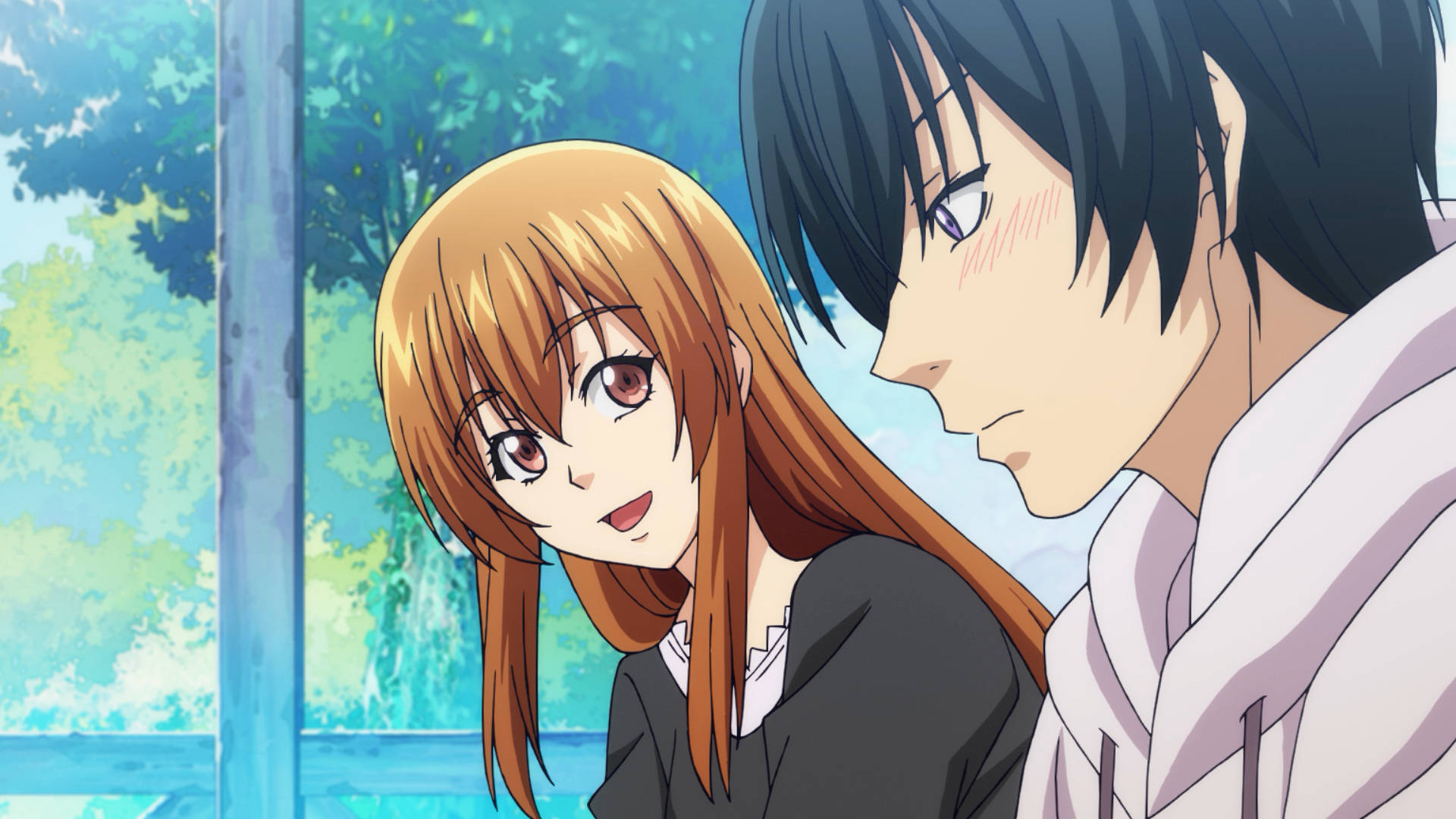 Grand Blue 桌布 壁紙 — 一個近距離動畫場景，一個微笑的棕髮女孩和一個臉紅的黑髮男孩在窗邊互相注視。