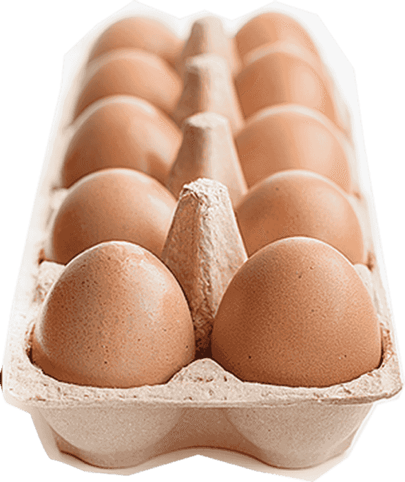 Egg Carton 桌布 壁紙 — 一個近距離拍攝，棕色雞蛋放在紙板盒中，背景為柔和青綠色。