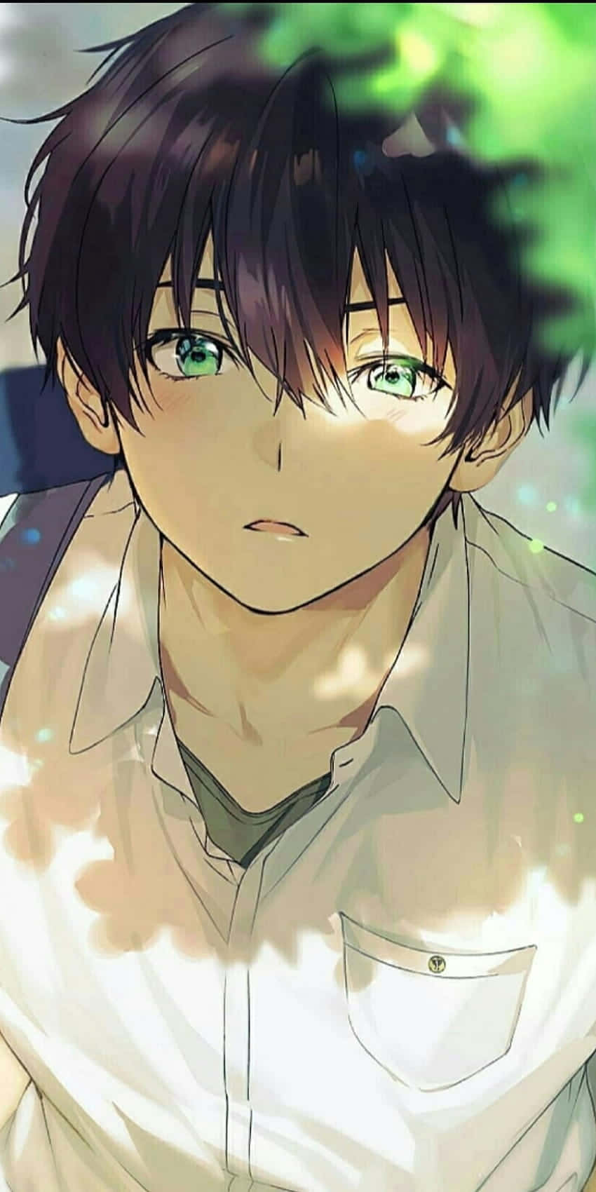 動漫男孩 桌布 壁紙 — 一個近距離的動漫男孩，深色頭髮和鮮綠色眼睛，在斑駁的陽光透過樹葉照射下向上看。