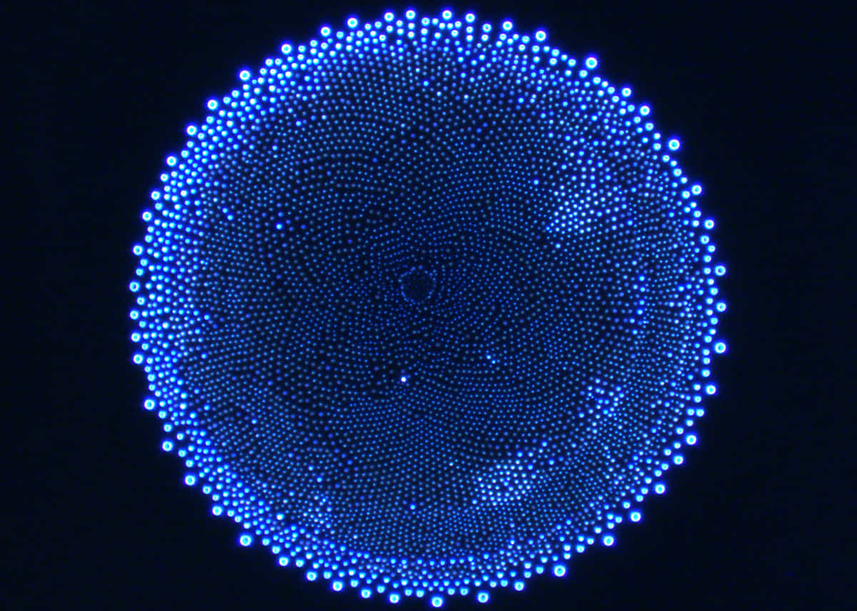 Microscopic 桌布 壁紙 — 一個迷人的圓形圖案，由發光的藍色點點在漆黑背景上向外輻射。