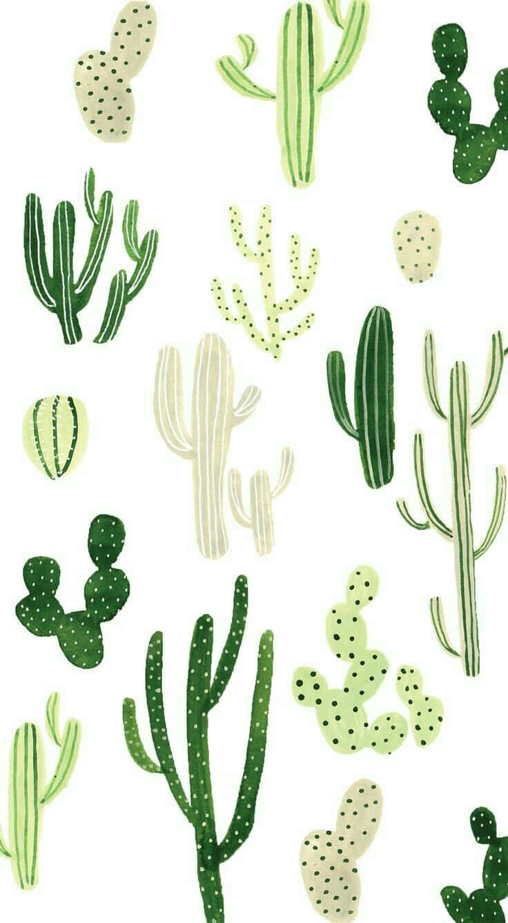 Cactus 桌布 壁紙 — 一個迷人的圖案，由風格化的綠色和奶油色仙人掌組成，帶有斑點刺，散落在乾淨的白色背景上。