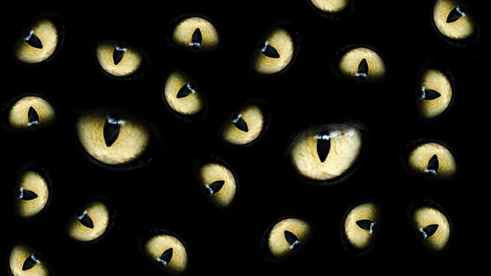 Cat Eyes 桌布 壁紙 — 一個迷人的圖案，發光的黃色貓眼在漆黑的背景下強烈凝視。
