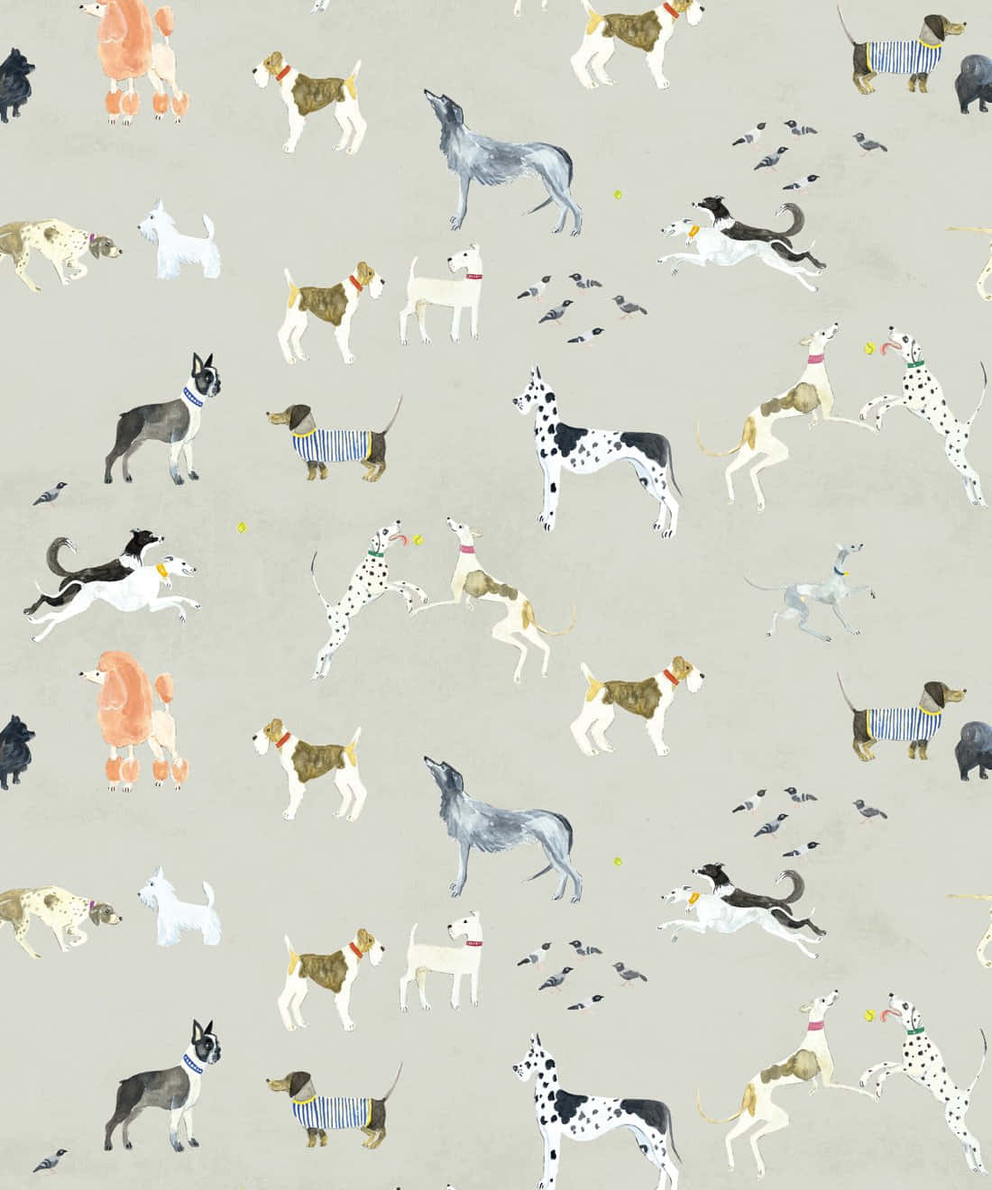 Aesthetic Dog 桌布 壁紙 — 一個迷人的壁紙圖案，以不同品種和姿勢的頑皮狗為特色，襯托柔和的灰色背景。
