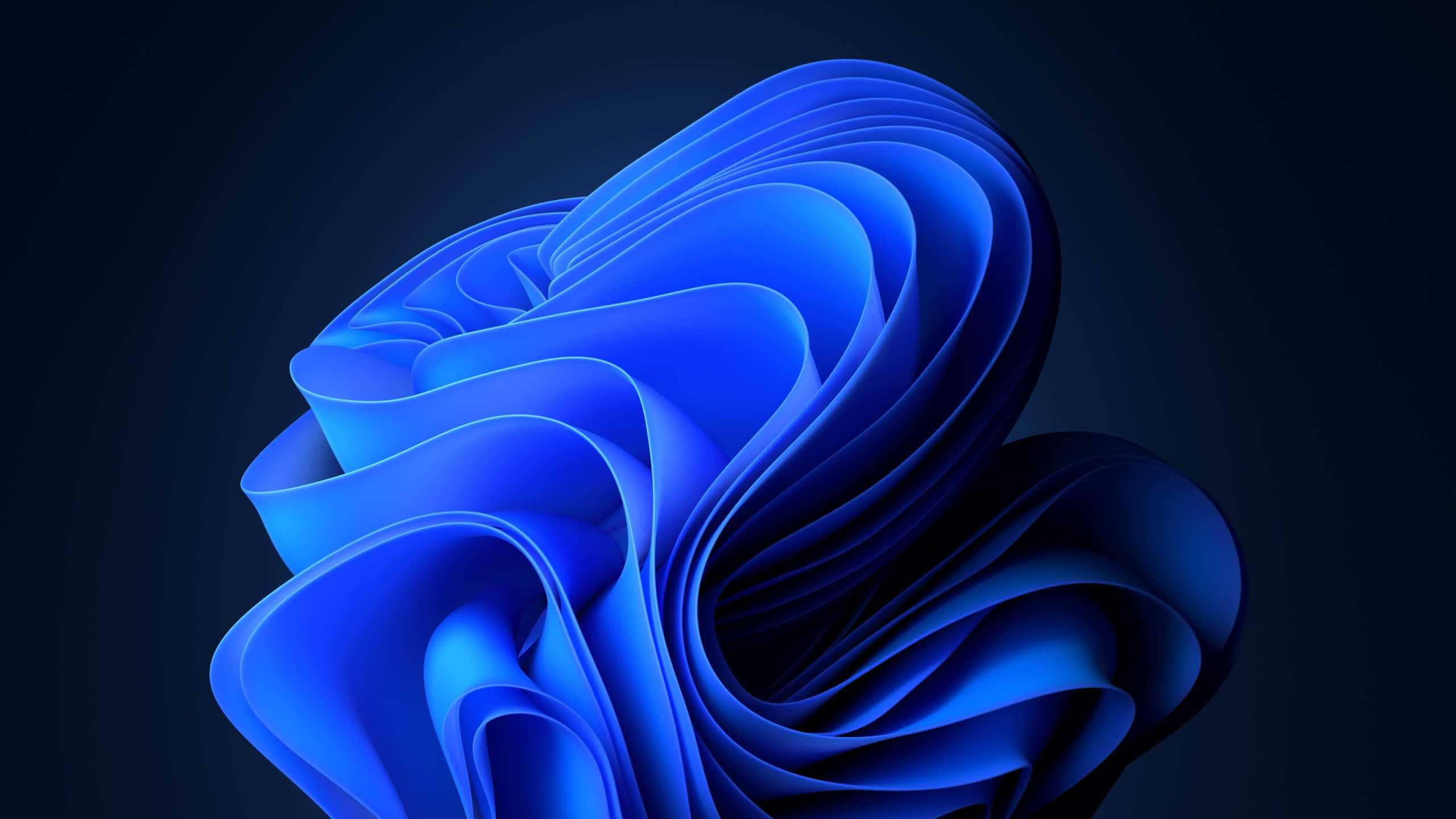 Screensavers 桌布 壁紙 — 一個迷人的抽象雕塑，流動的藍色絲帶在黑暗背景上彎曲，帶有柔和光線。
