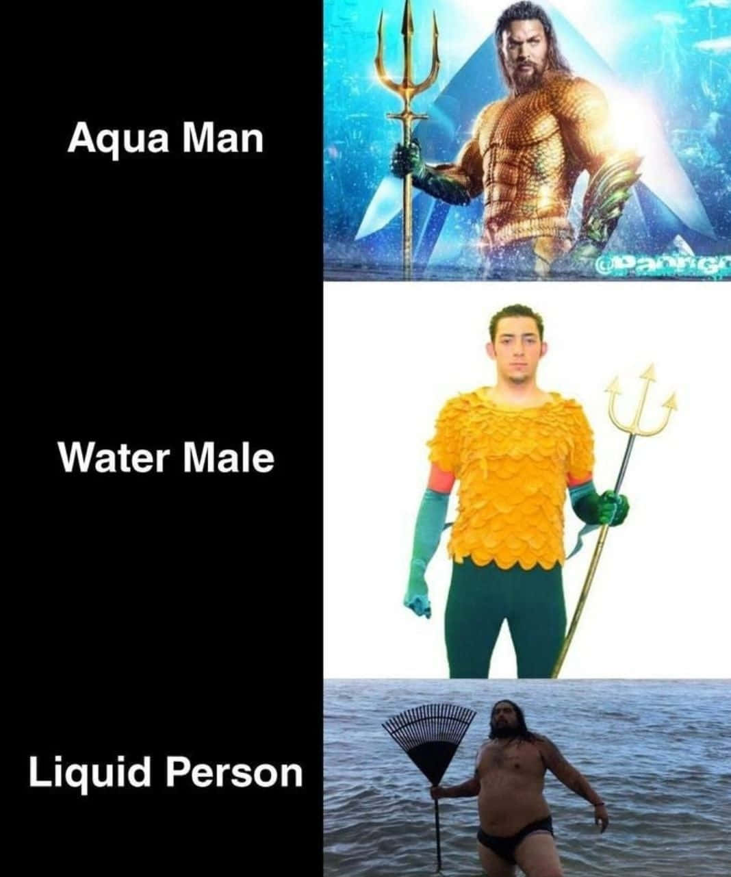 Funny Meme Profile 桌布 壁紙 — 一個迷因，比較水行俠的英雄服裝、一個穿著黃色鱗片服裝的男人，和一個在海中拿著耙子的男人。