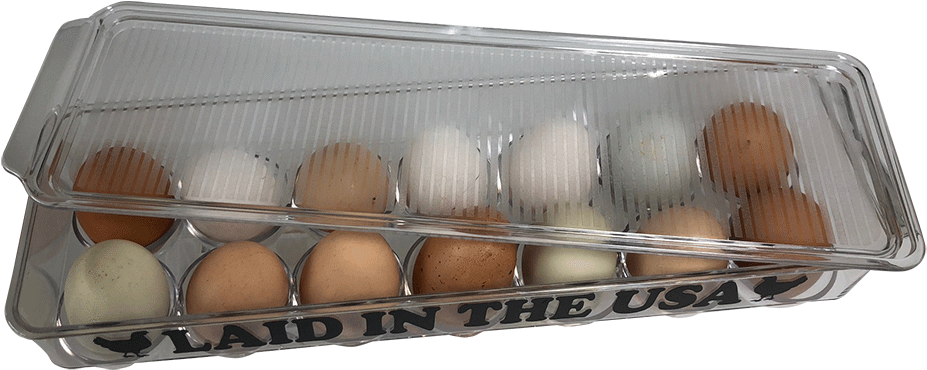 Egg Carton 桌布 壁紙 — 一個透明塑膠雞蛋盒裝有十二顆不同顏色的棕色和白色雞蛋，底部印有「LAID IN THE USA」字樣。