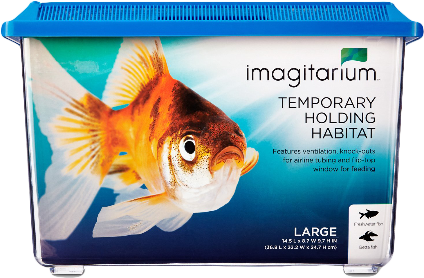 Aquarium 桌布 壁紙 — 一個透明塑膠魚容器，配有藍色蓋子，內有一條鮮豔的橙白色金魚在漸變藍色背景中游動。