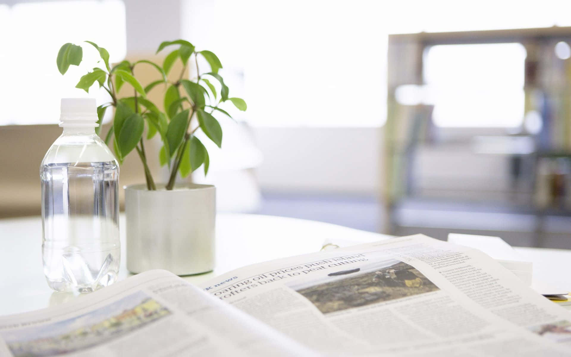 Newspaper 桌布 壁紙 — 一個透明水瓶和一個小盆栽放在一張明亮白色桌子上的打開報紙旁邊。