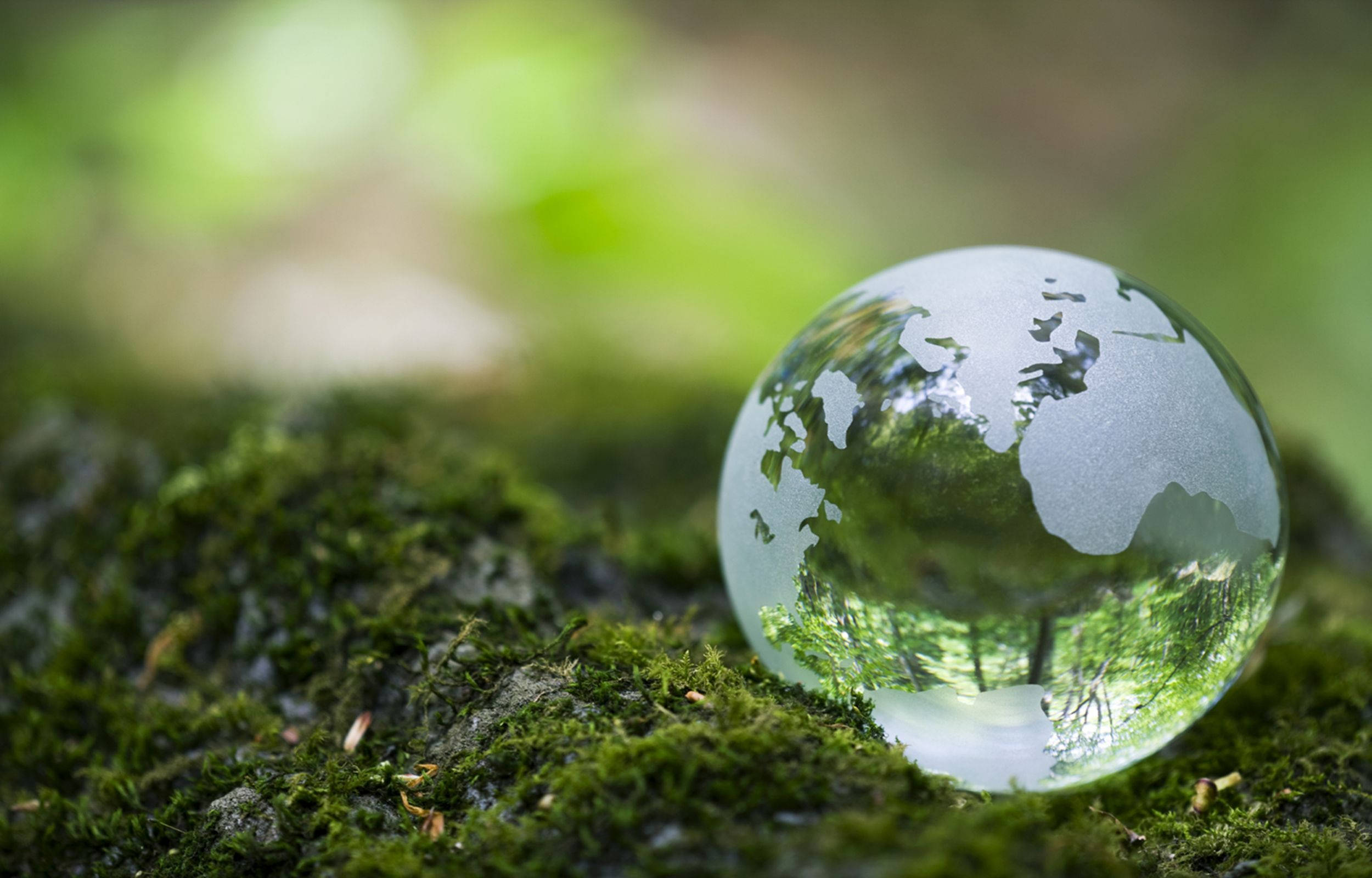 Earth Day 桌布 壁紙 — 一個透明玻璃地球儀，上面刻有各大洲，放在充滿活力的綠色苔蘚上，反射出森林場景。