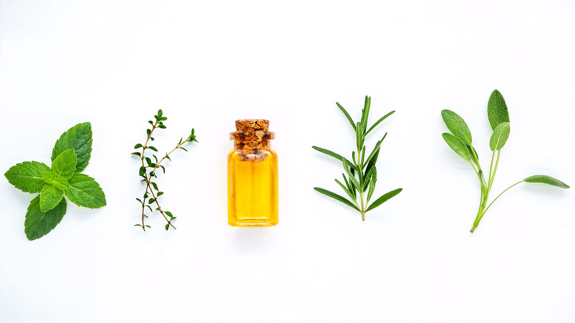 Essential Oil 桌布 壁紙 — 一個透明玻璃瓶裝滿金色精油，置於鮮綠色香草薄荷、百里香、迷迭香和鼠尾草中央，背景為純白色。