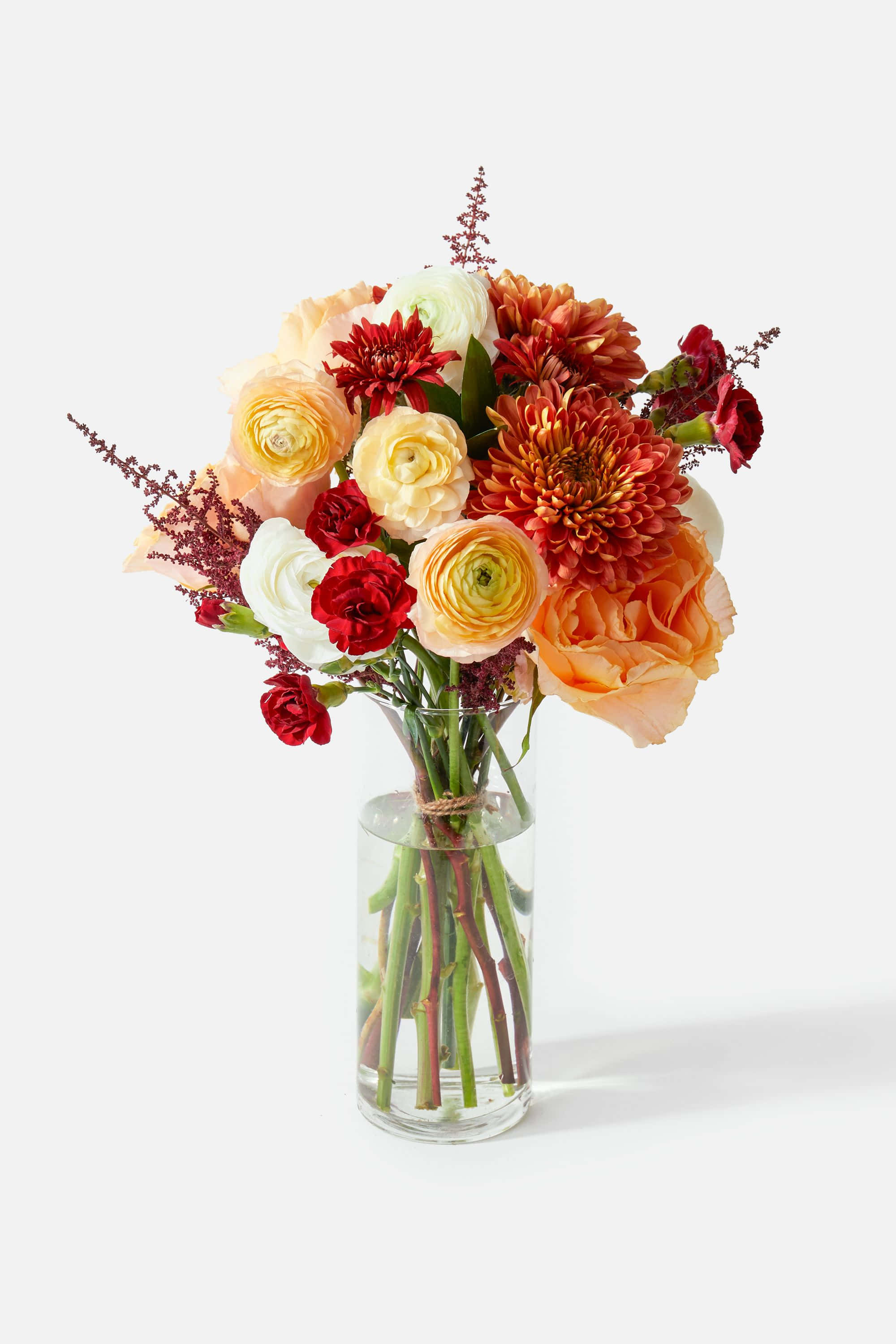 Floral Arrangement 桌布 壁紙 — 一個透明玻璃花瓶中的鮮豔秋日花卉佈置，包含紅色、橙色和奶油色花朵，背景為純白色。