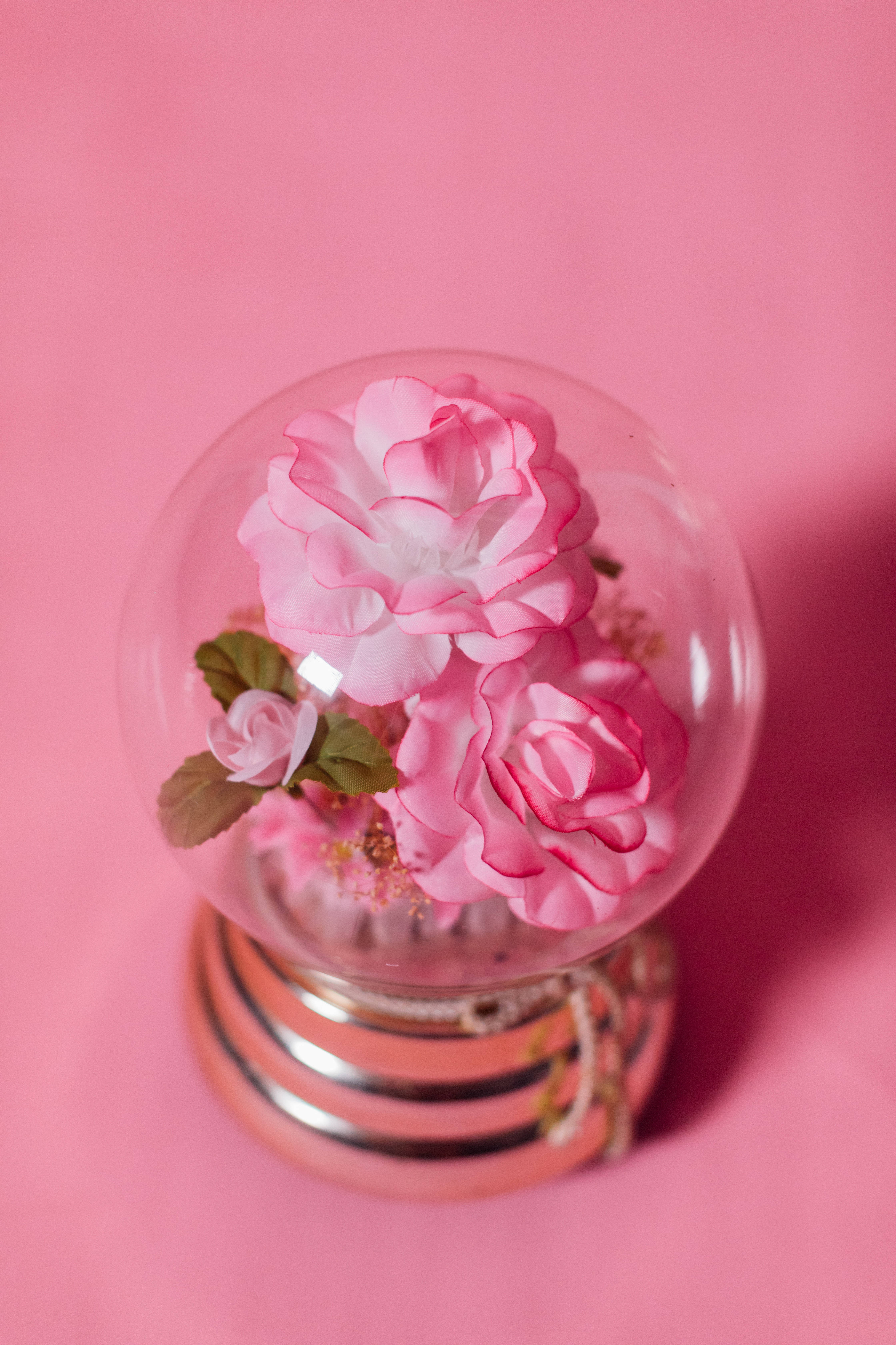 Flower Phone 桌布 壁紙 — 一個透明玻璃雪球，內有粉紅玫瑰和綠葉，放在粉紅金屬底座上，背景為純粉紅色。