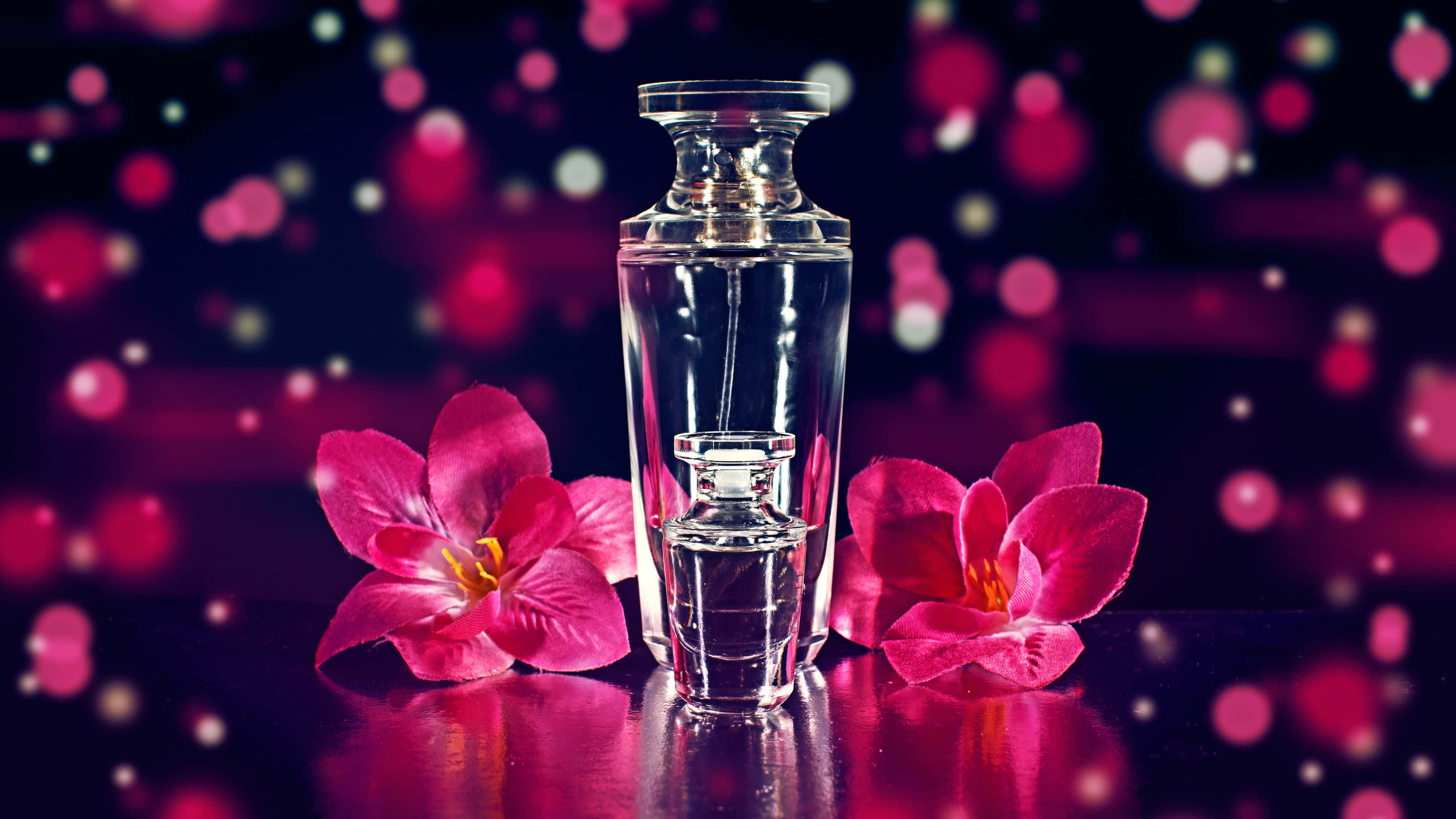Spring Perfume 桌布 壁紙 — 一個透明玻璃香水瓶立在兩朵鮮豔的粉紅色蘭花之間，背景是洋紅色和紫色燈光營造的夢幻散景效果。