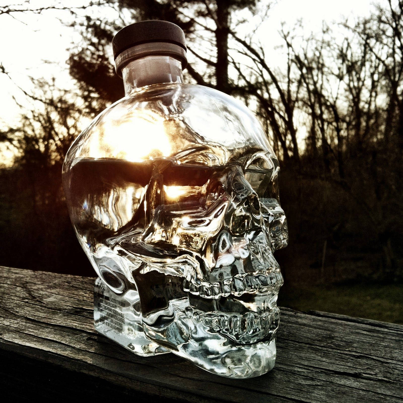 Drink 桌布 壁紙 — 一個透明的骷髏頭形伏特加酒瓶在夕陽下閃耀，放在風化的木頭上，背景是光禿的樹木。