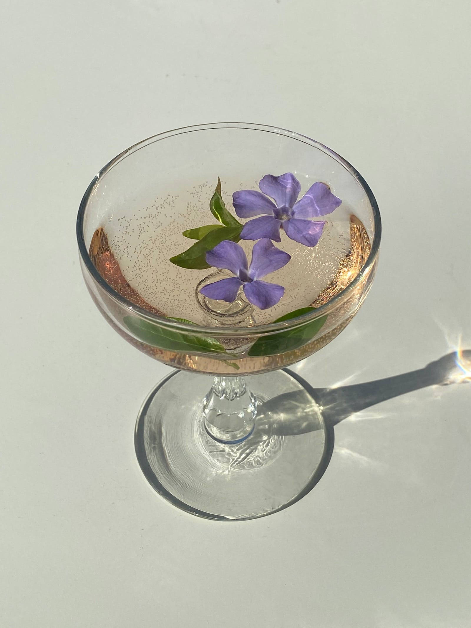 Drink 桌布 壁紙 — 一個透明的高腳杯盛載著閃亮的飲料，漂浮著紫色花朵和綠色葉子，在明亮的陽光下。
