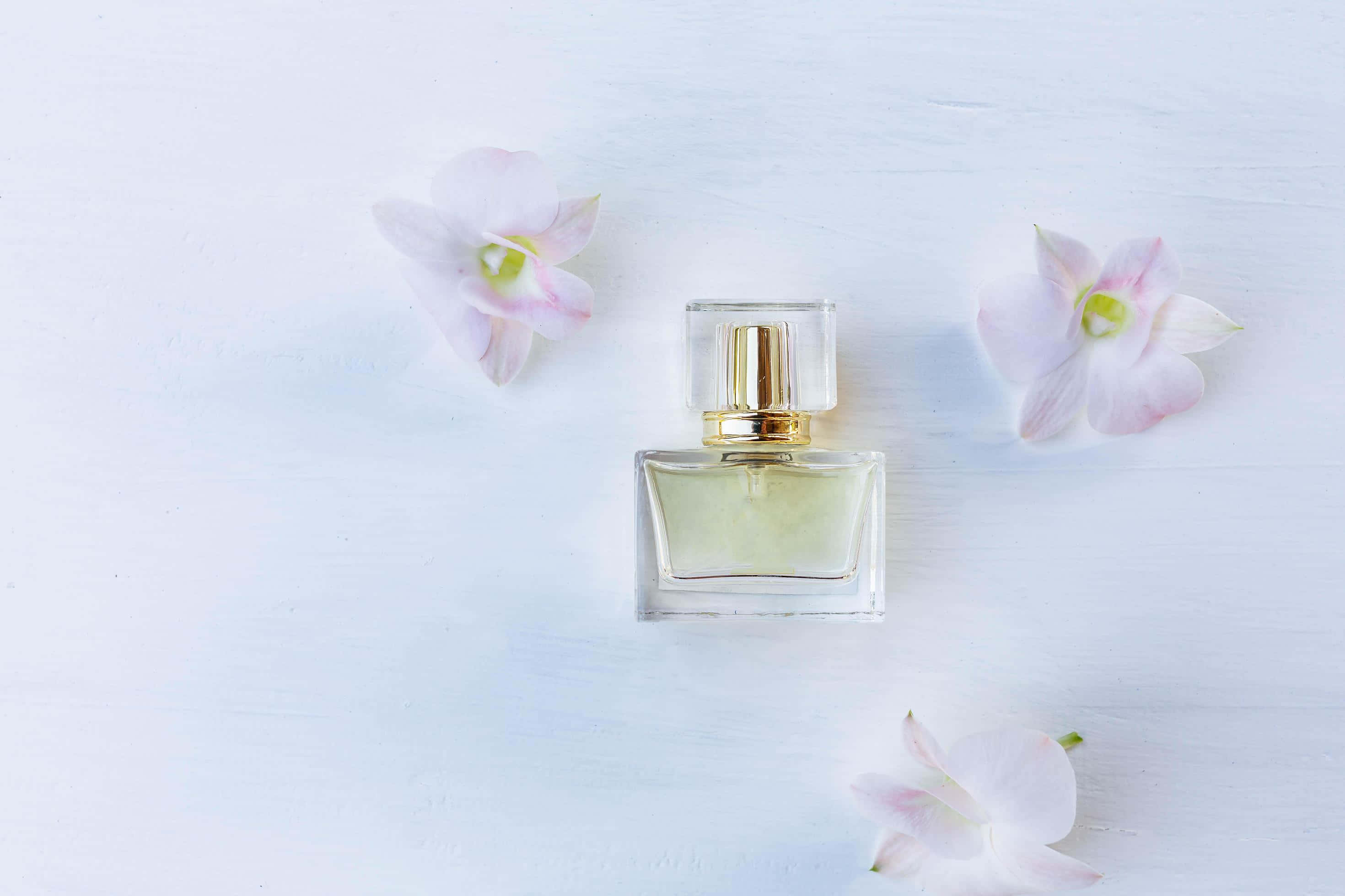 Floral Fragrance 桌布 壁紙 — 一個透明香水瓶搭配金色瓶蓋，置於淺藍色紋理表面中央，周圍環繞三朵精緻的粉紅色蘭花。