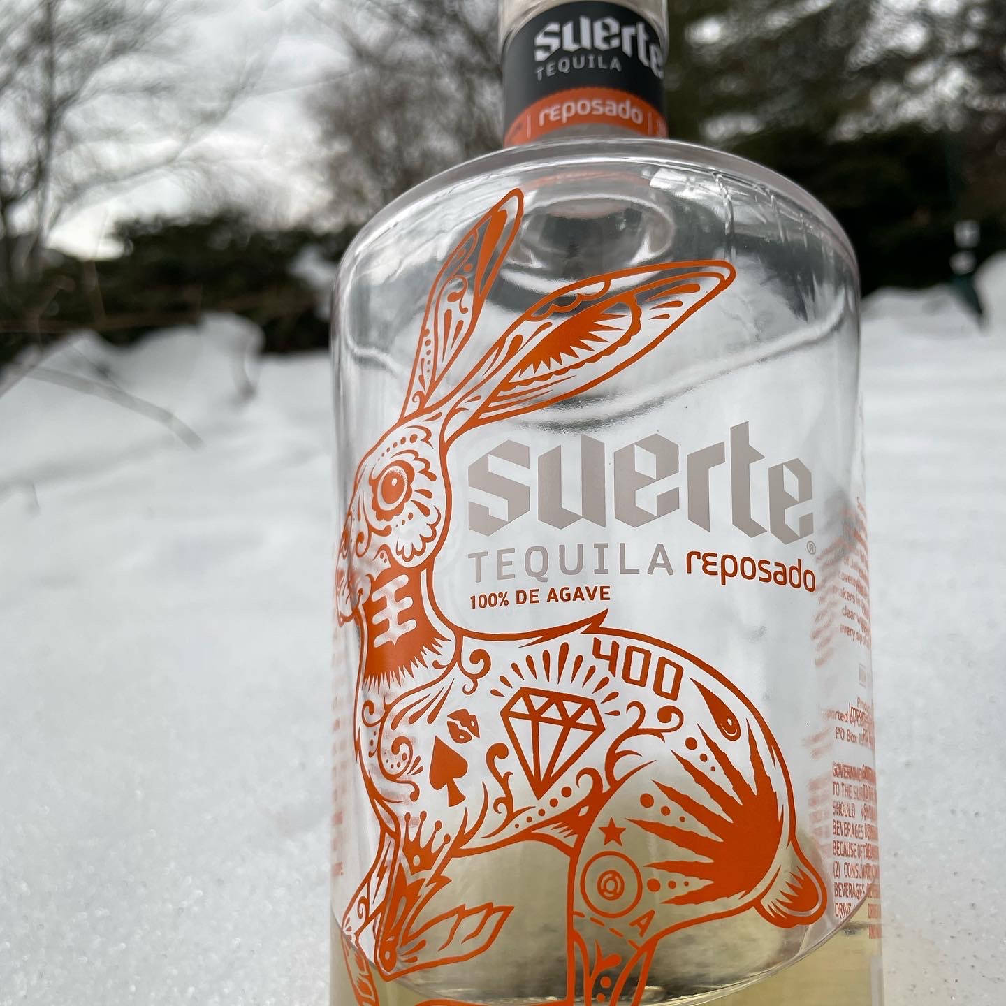 標誌 桌布 壁紙 — 一個透明龍舌蘭酒瓶，帶有橙色兔子圖案，放置在雪地冬季地面上，背景是模糊的樹木。