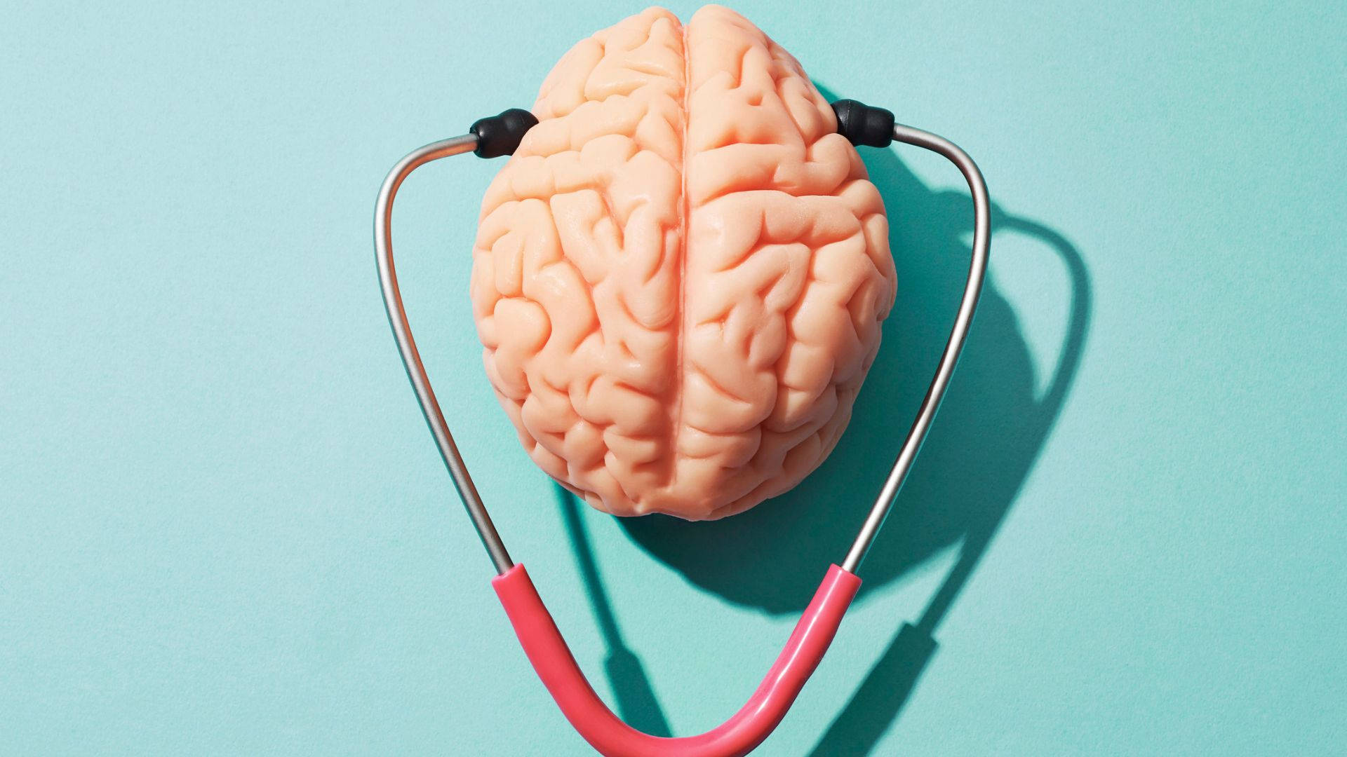mind 桌布 壁紙 — 一個逼真的大腦模型嵌在聽診器內，背景為純青色。