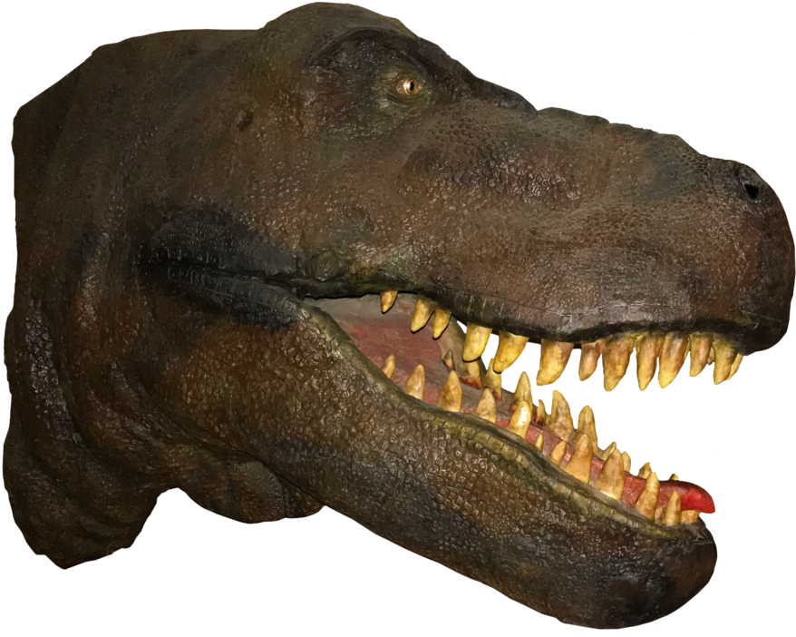 T Rex Dinosaur 桌布 壁紙 — 一個逼真的暴龍頭部特寫，有鋒利的牙齒和紋理皮膚，背景為黑色。