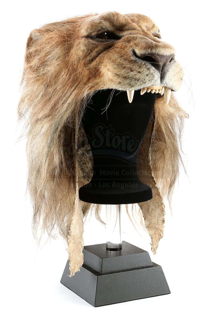 Lion Head 桌布 壁紙 — 一個逼真的獅子頭道具，帶有細緻的毛髮和鋒利的牙齒，展示在白色背景上的黑色支架上。