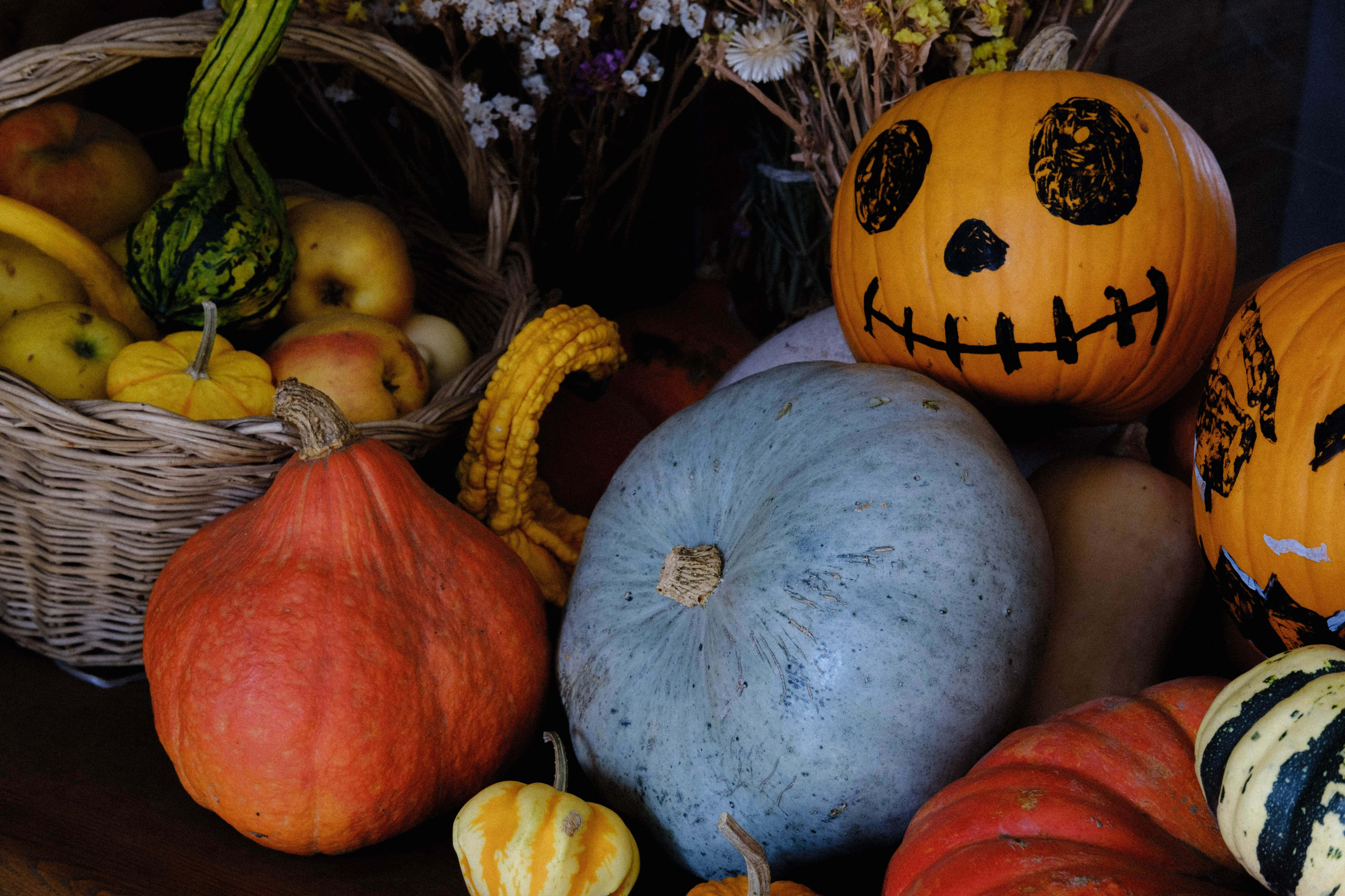 Pumpkin Patch 桌布 壁紙 — 一個鄉村風格的秋季靜物，包含南瓜、蘋果和葫蘆，搭配乾花放在編織籃中。