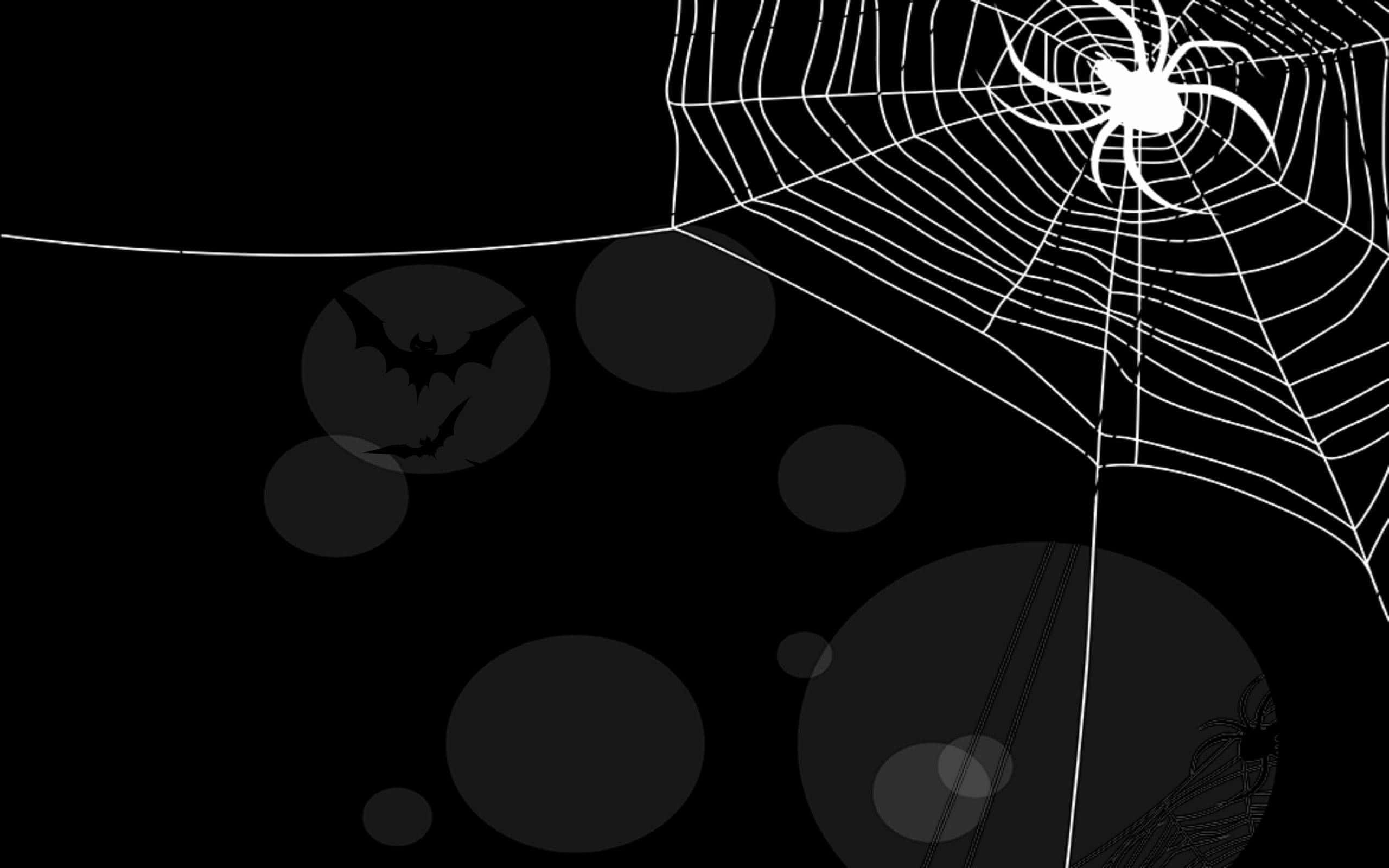 Spider Web 桌布 壁紙 — 一個醒目的白色蜘蛛網，發光的蜘蛛佔據了黑色背景，背景中有漂浮的蝙蝠剪影和圓形散景。
