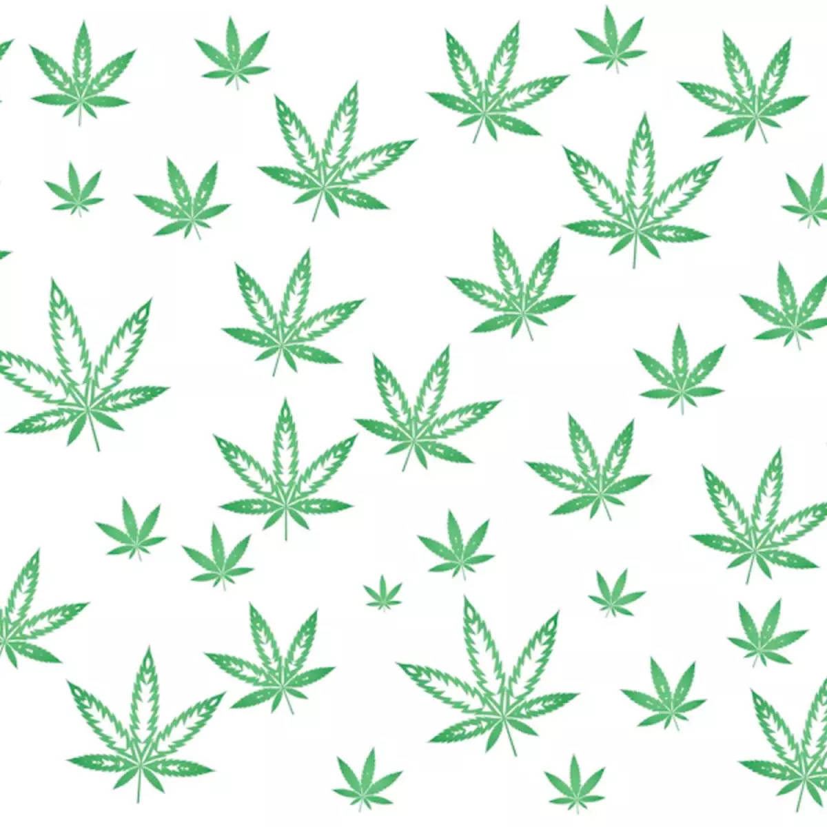 Leaf 桌布 壁紙 — 一個重複的圖案，綠色大麻葉散落在乾淨的白色背景上。