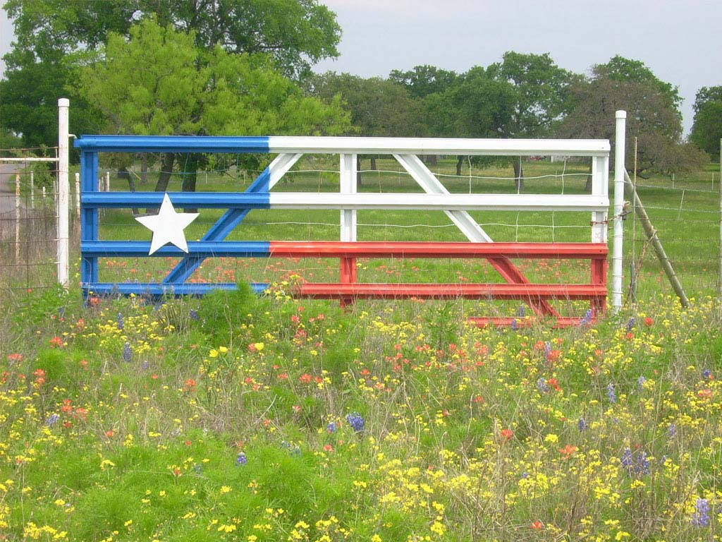 Texas 桌布 壁紙 — 一個金屬閘門上繪有德州旗幟，矗立在野花田間，天空多雲。