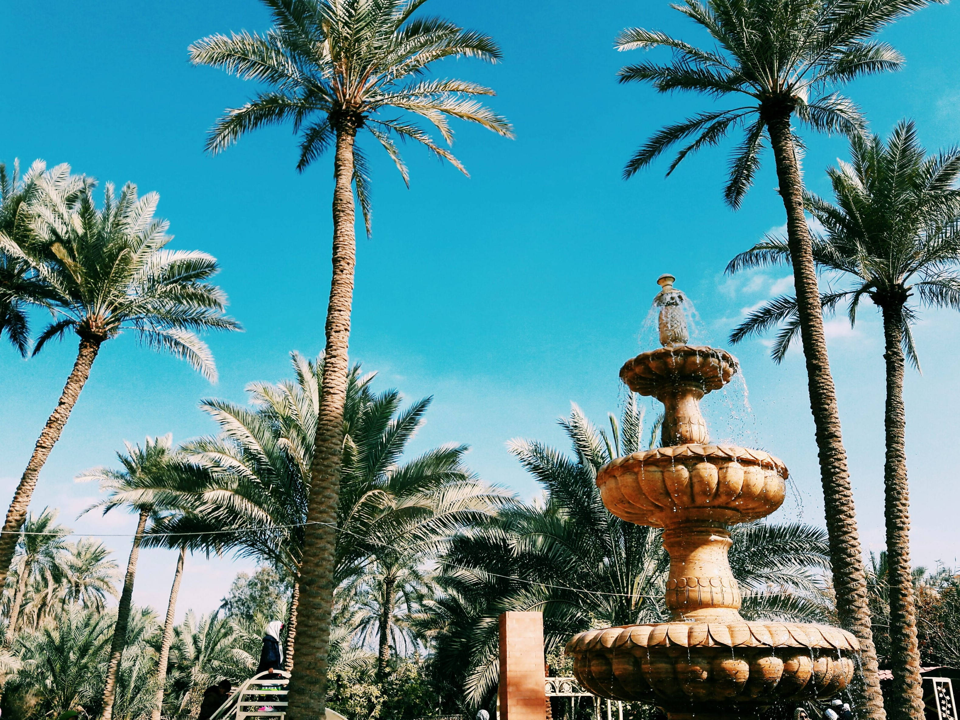 Iraq 桌布 壁紙 — 一個金色分層噴泉在晴朗藍天下被高大的棕櫚樹環繞著噴水。