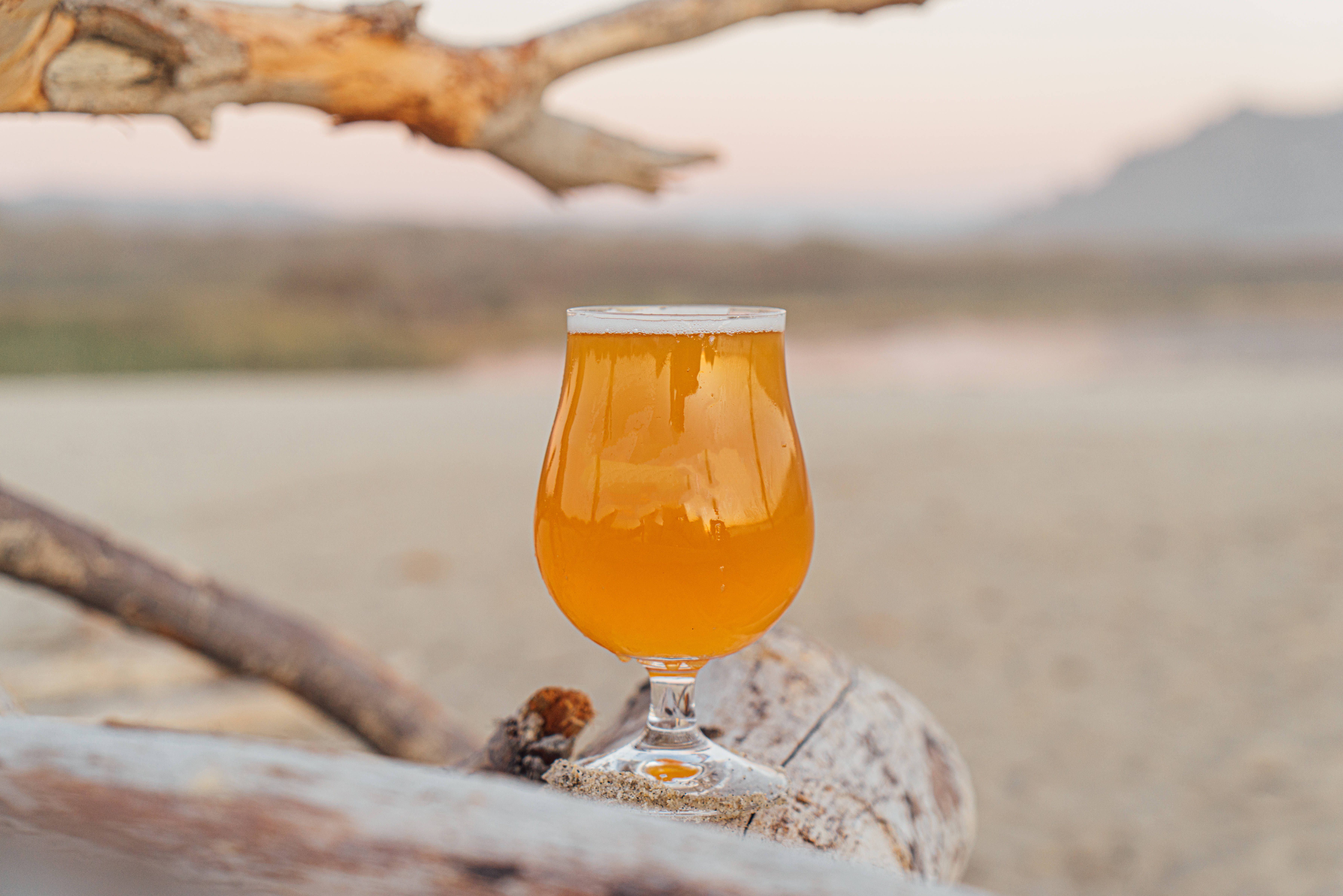 Beer 桌布 壁紙 — 一個金色啤酒杯放在經風化的浮木上，背景是柔和的海灘日落和遠山。