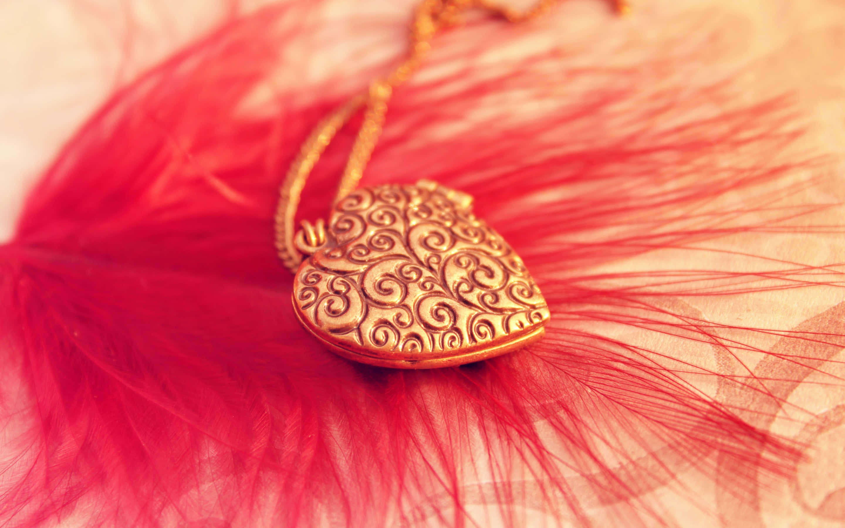 Jewelry Design 桌布 壁紙 — 一個金色心形吊墜，帶有漩渦圖案，精緻地放在鮮豔的紅色羽毛上，背景柔和模糊。