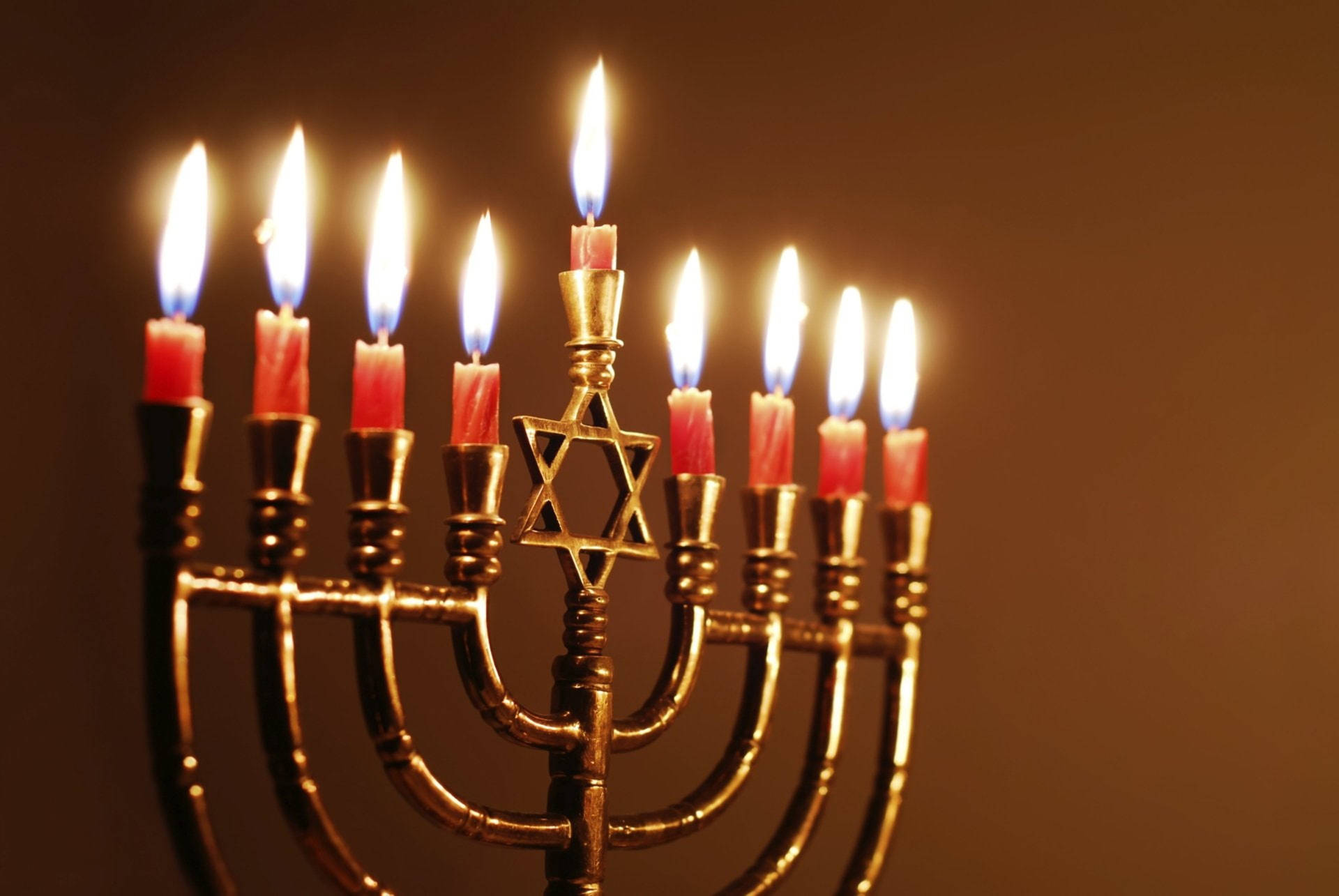 一個點燃的 menorah 有九枝蠟燭在黑暗背景上溫暖地發光。 — 光明節 GIF 壁紙