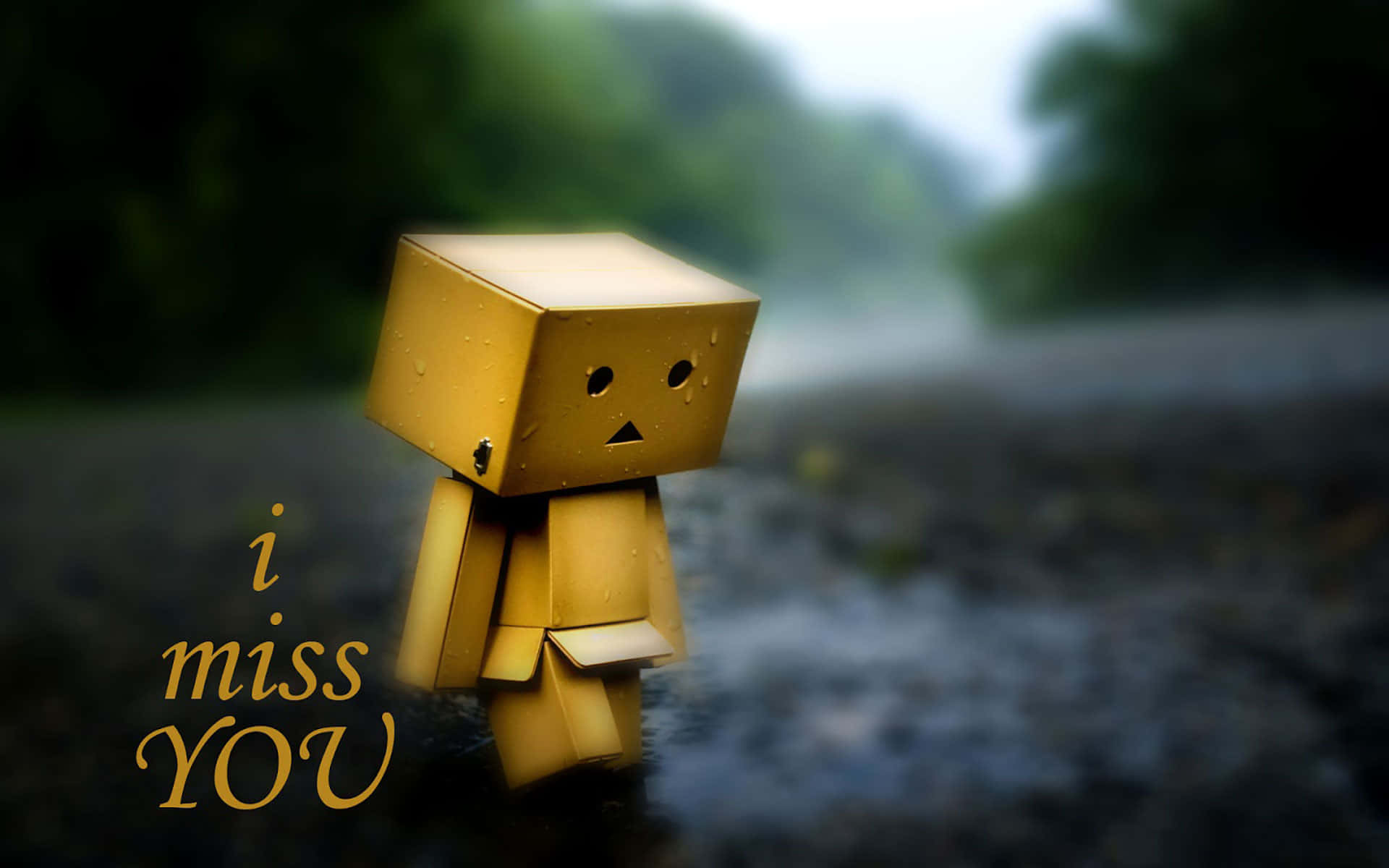 我想你 桌布 壁紙 — 一個金色紙製Danbo角色獨自站在雨中，帶有「i miss YOU」文字，在模糊的森林背景中喚起憂鬱感。
